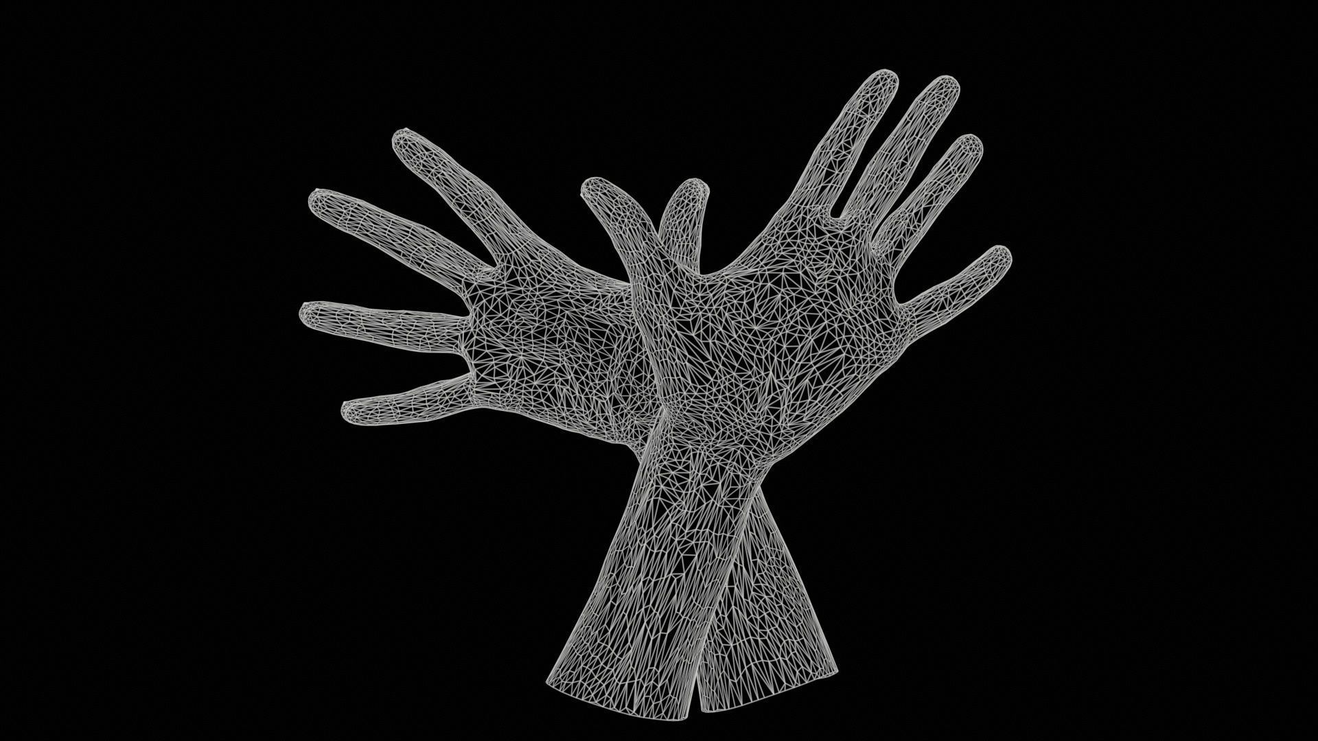 Duo Hands 002 Low-poly 3D model_11