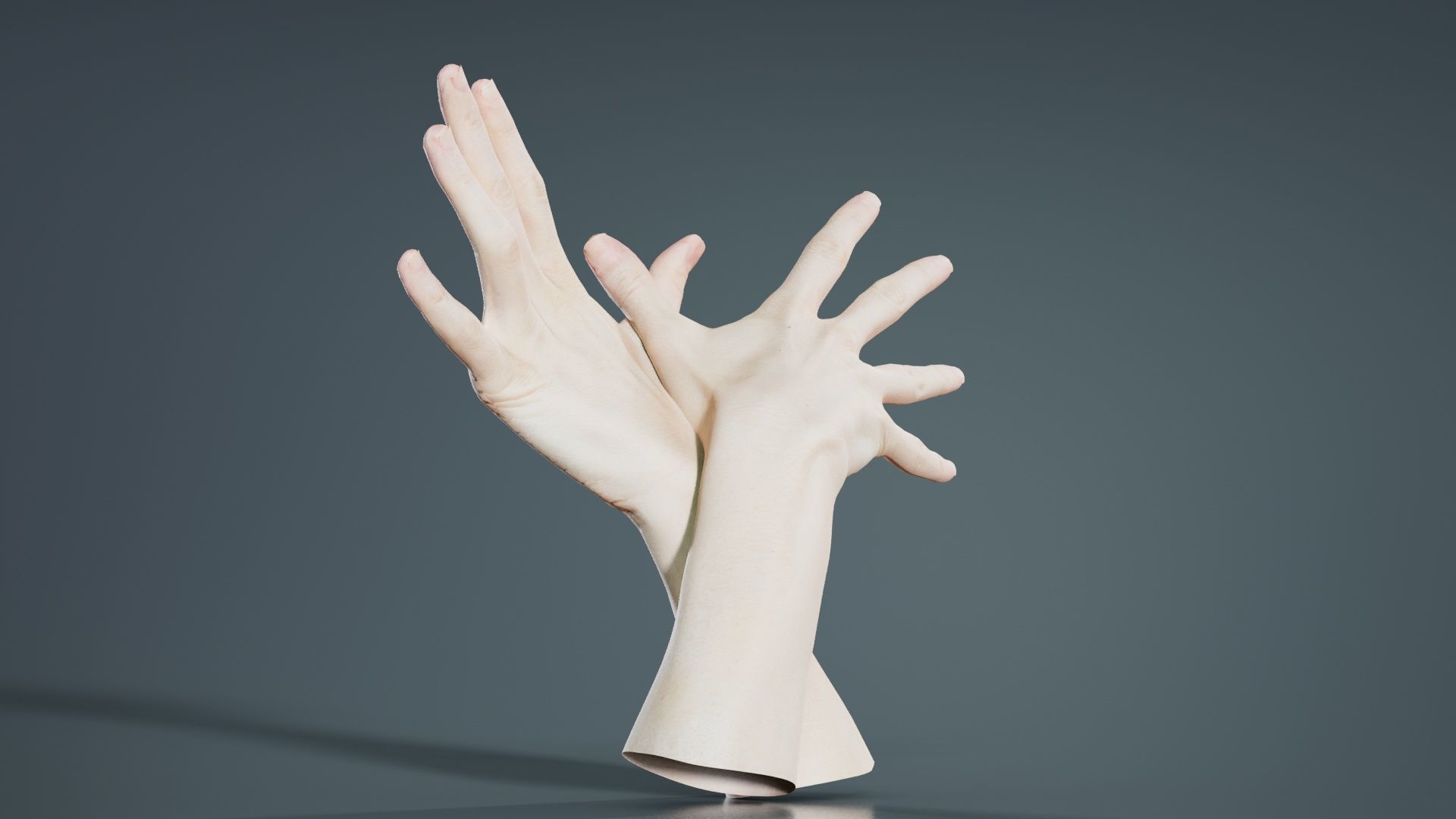 Duo Hands 002 Low-poly 3D model_1