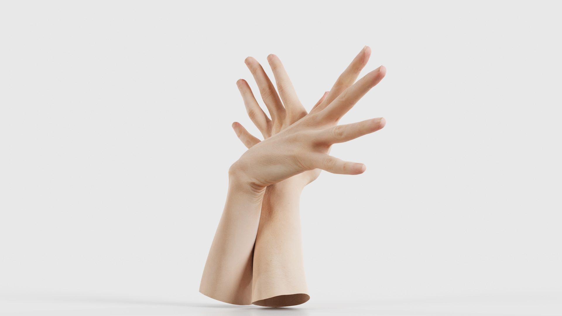 Duo Hands 002 Low-poly 3D model_19