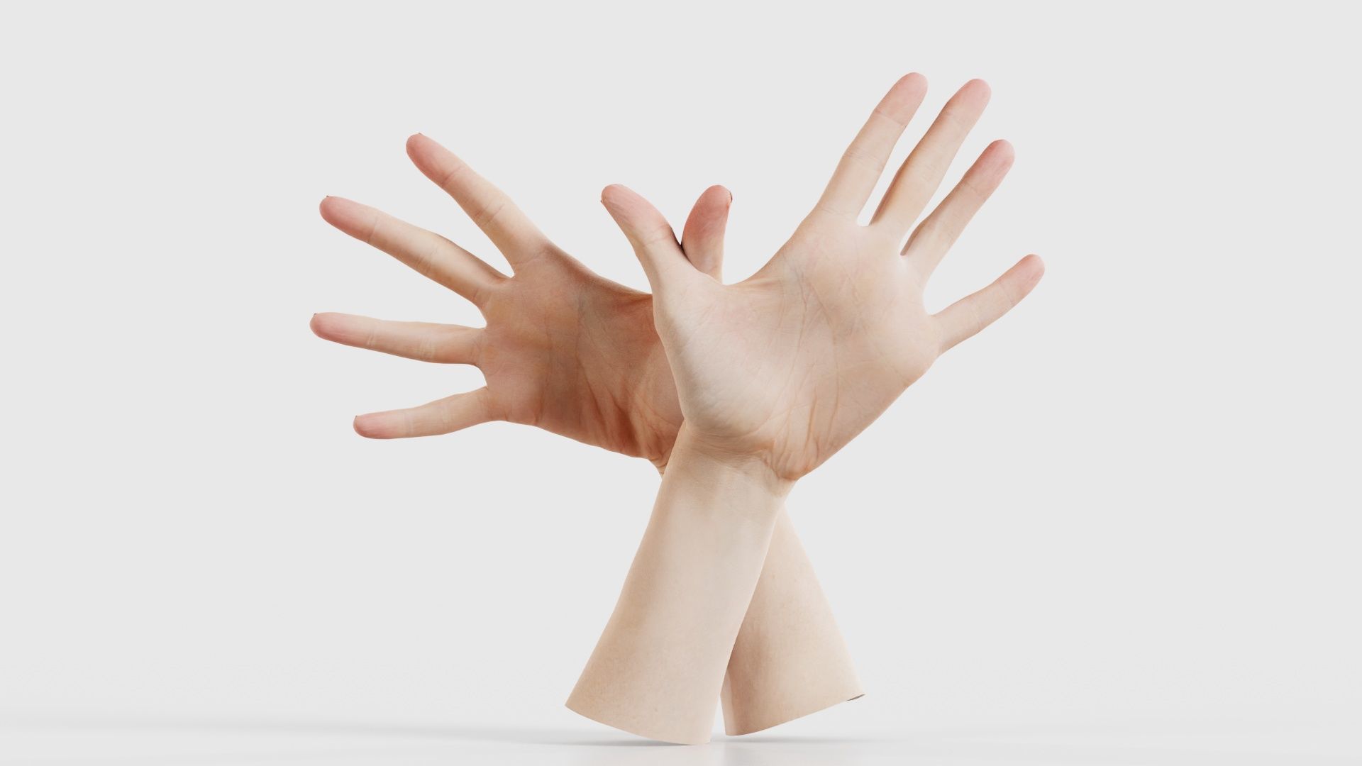 Duo Hands 002 Low-poly 3D model_15