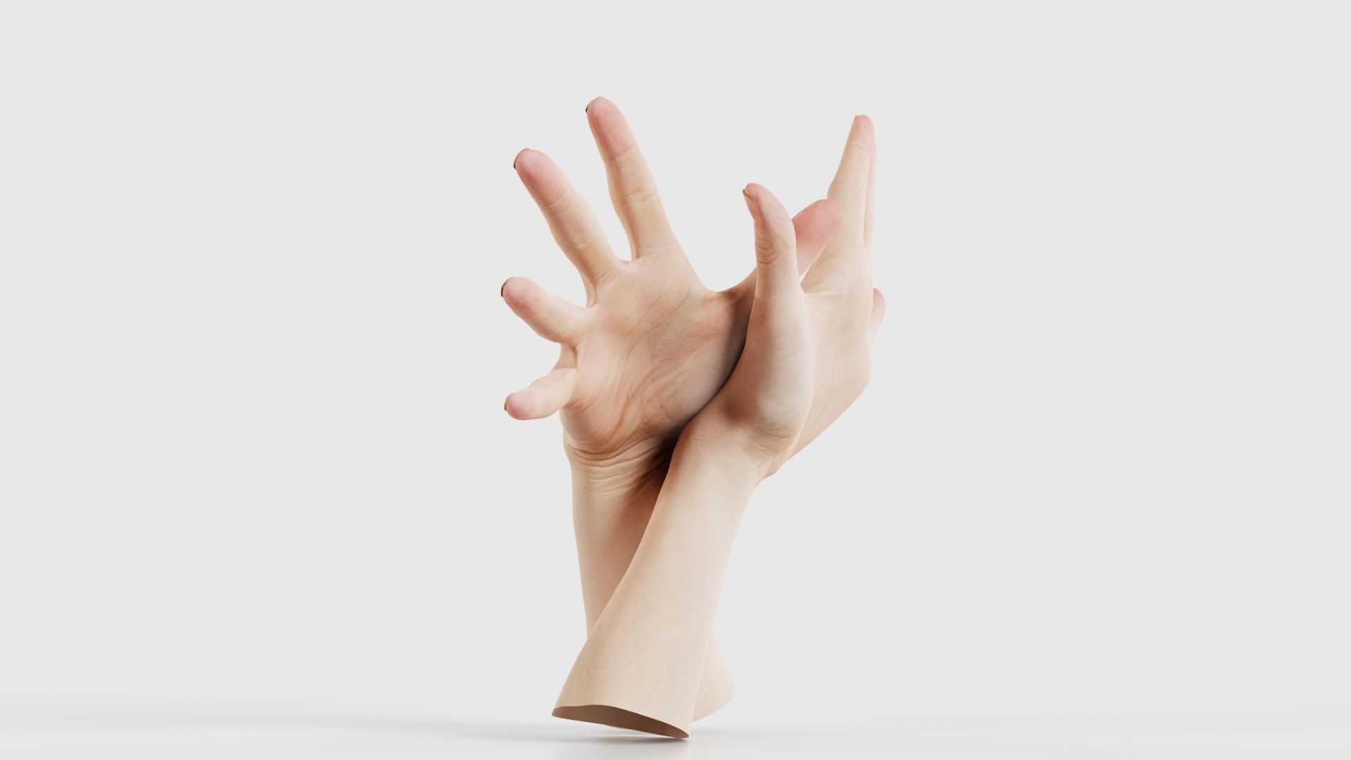 Duo Hands 002 Low-poly 3D model_17