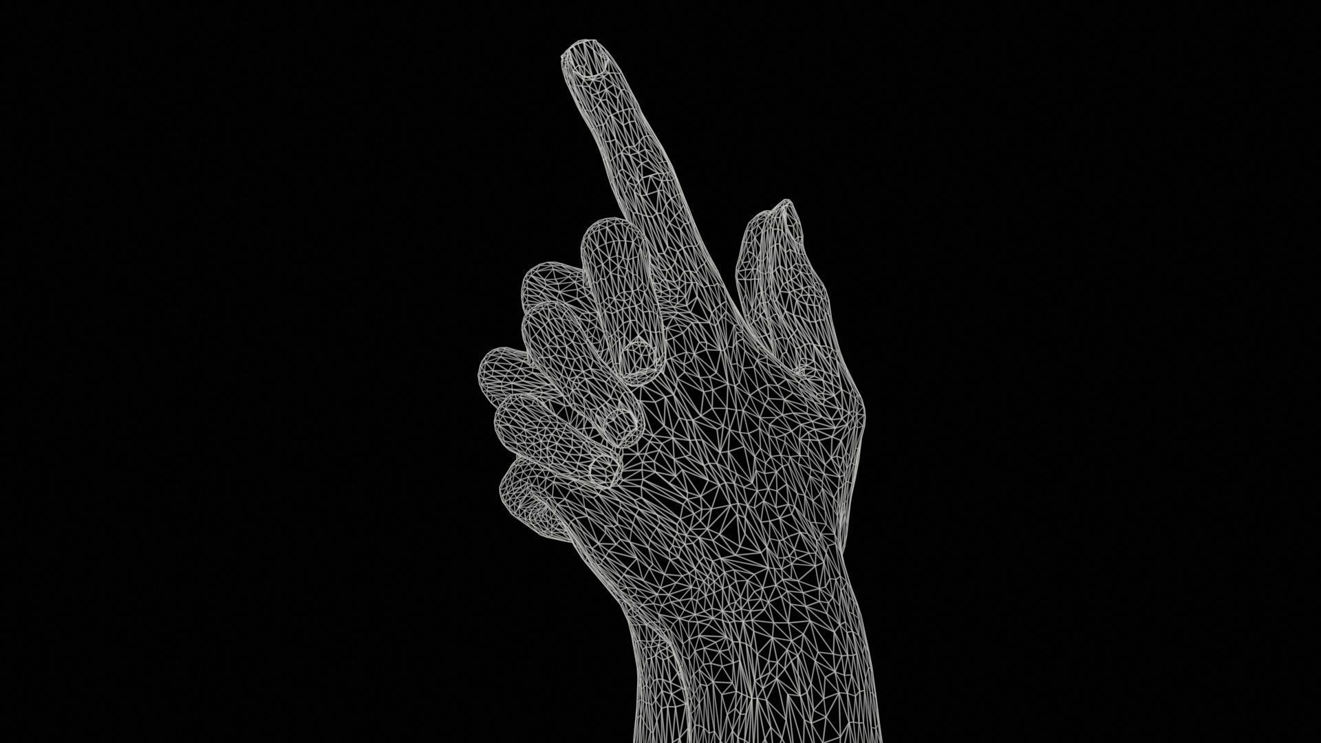 Duo Hands 003 Low-poly 3D model_11