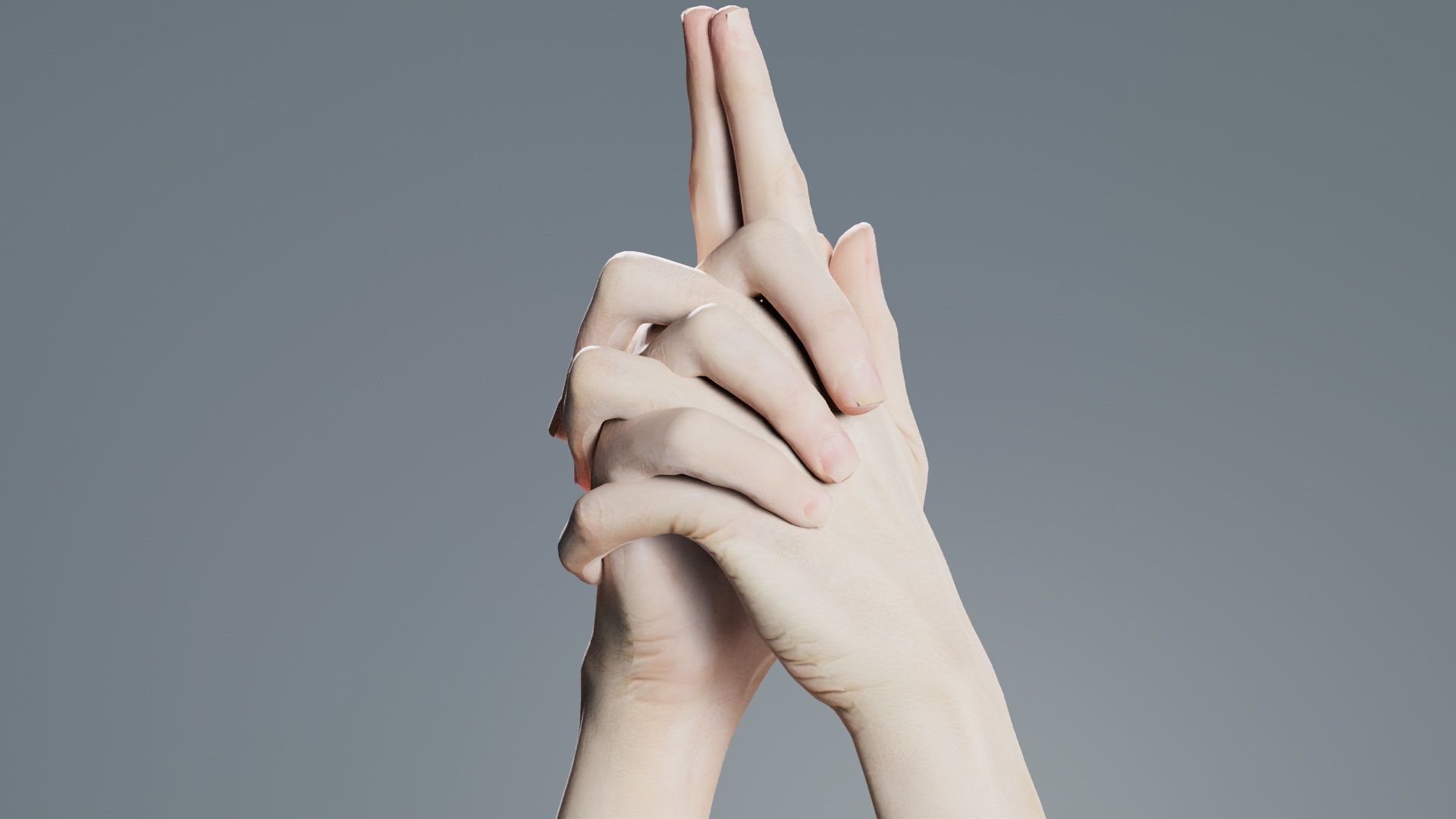 Duo Hands 003 Low-poly 3D model_5