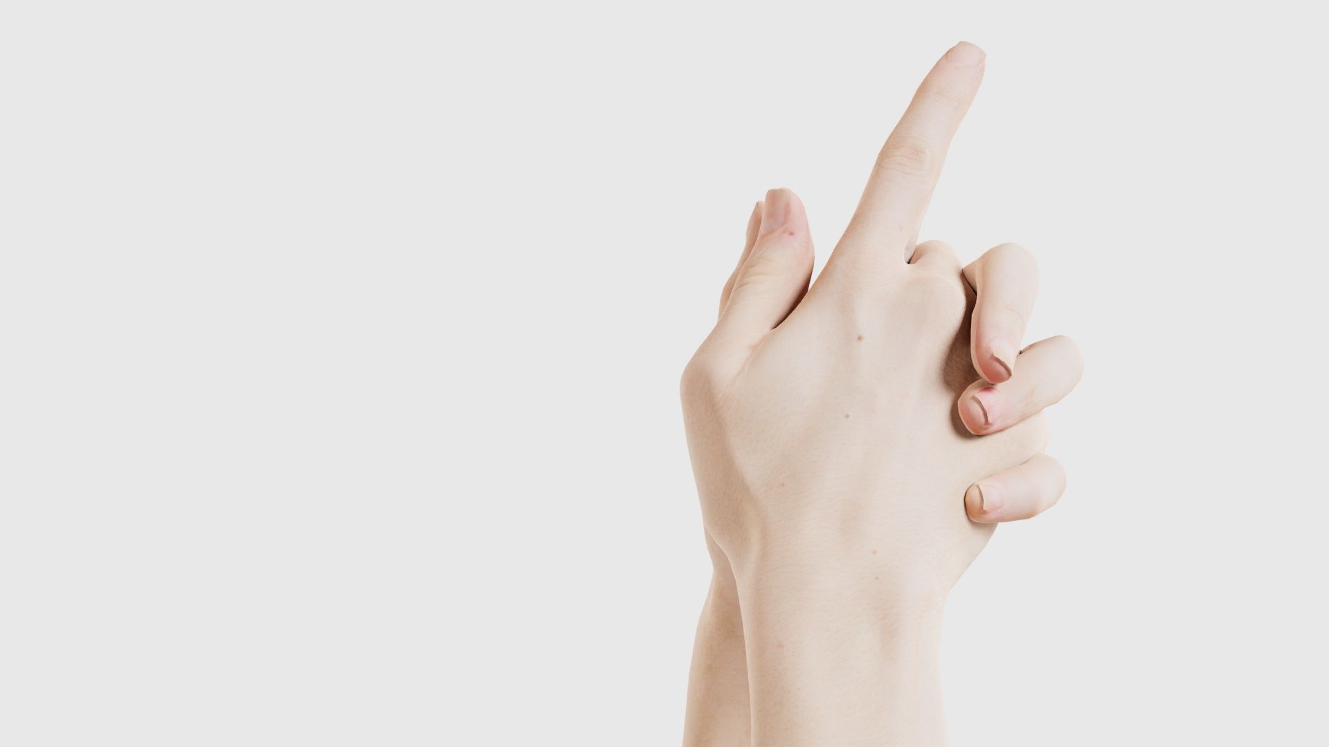 Duo Hands 003 Low-poly 3D model_21