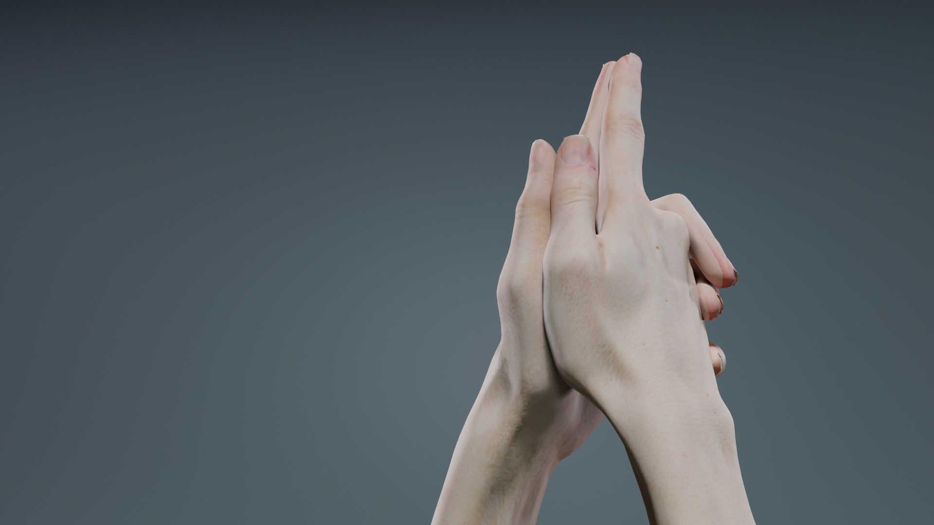 Duo Hands 003 Low-poly 3D model_8