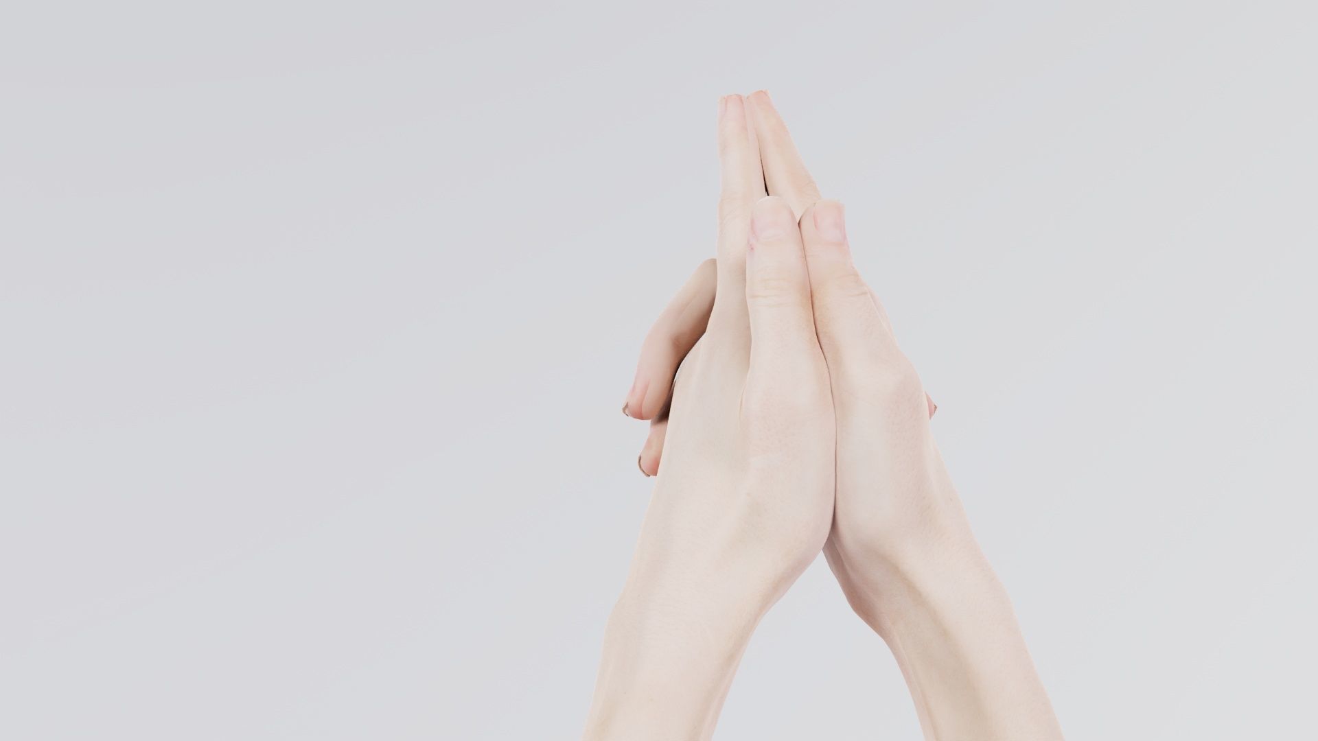 Duo Hands 003 Low-poly 3D model_4