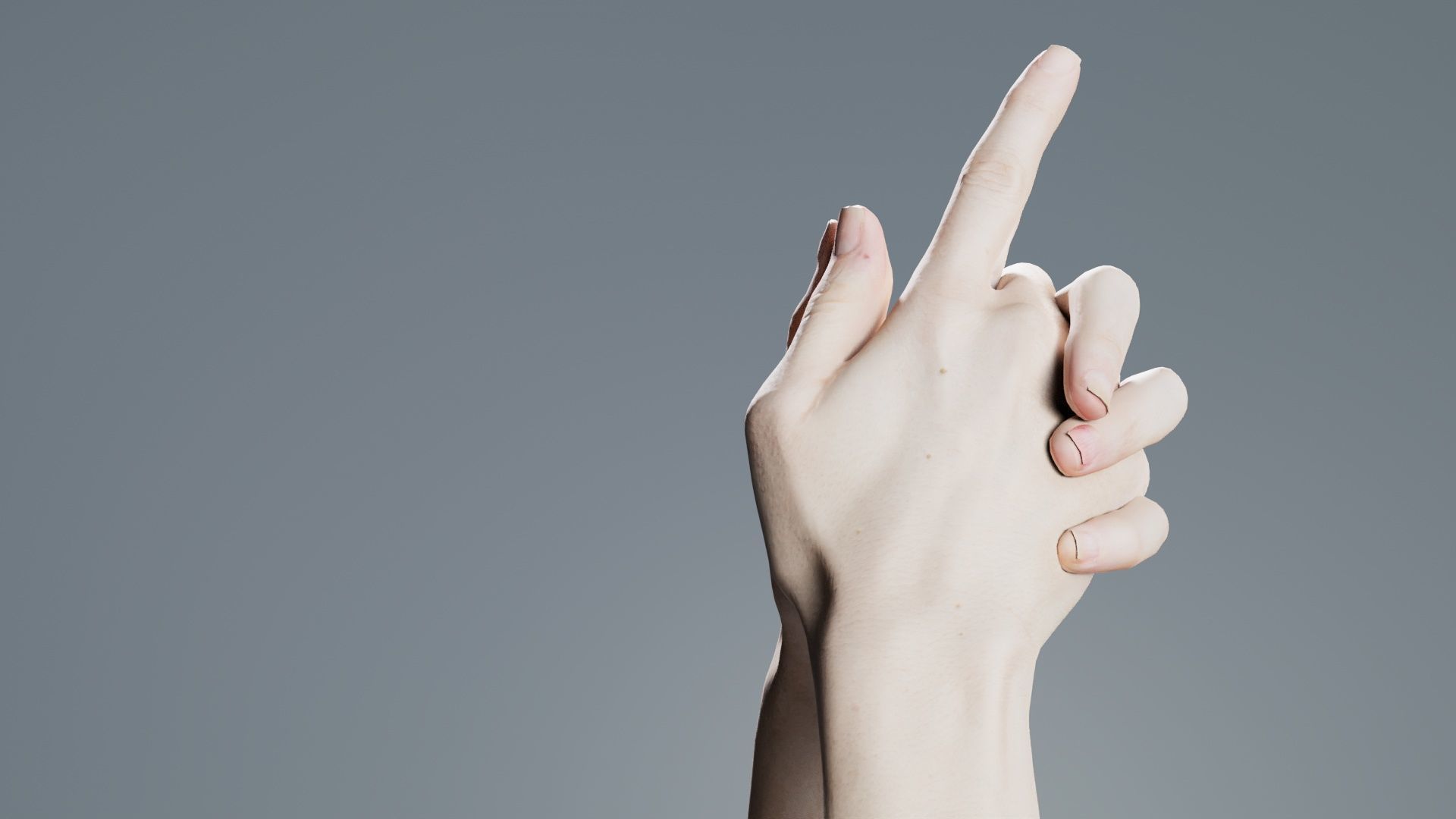 Duo Hands 003 Low-poly 3D model_6