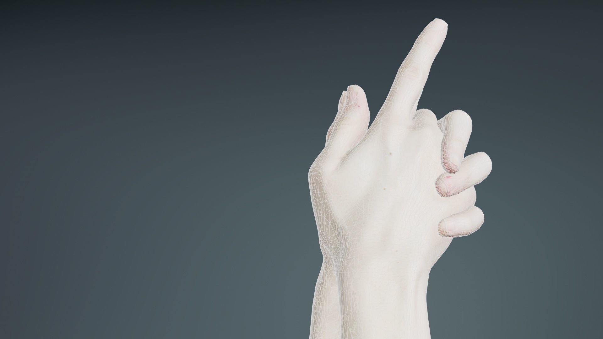 Duo Hands 003 Low-poly 3D model_10