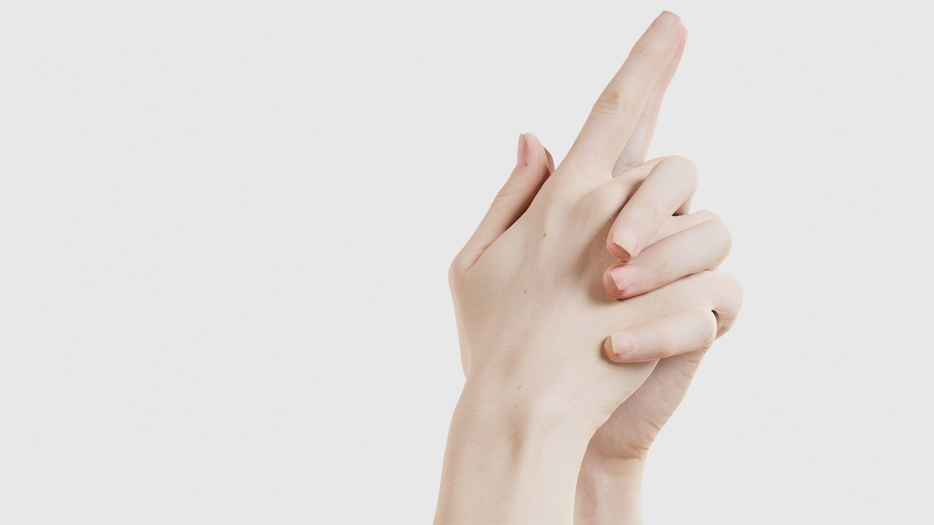 Duo Hands 003 Low-poly 3D model_20