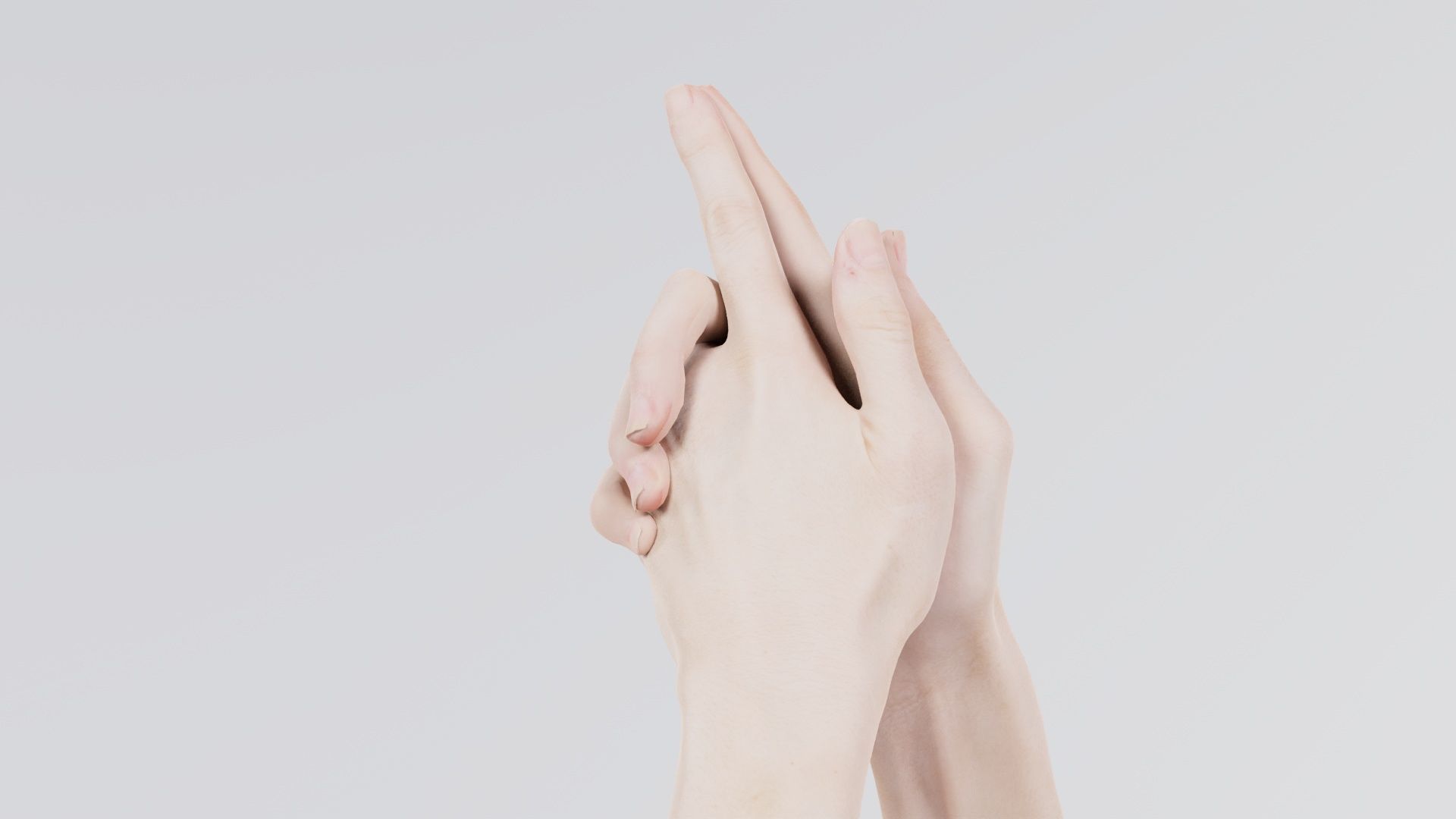 Duo Hands 003 Low-poly 3D model_7