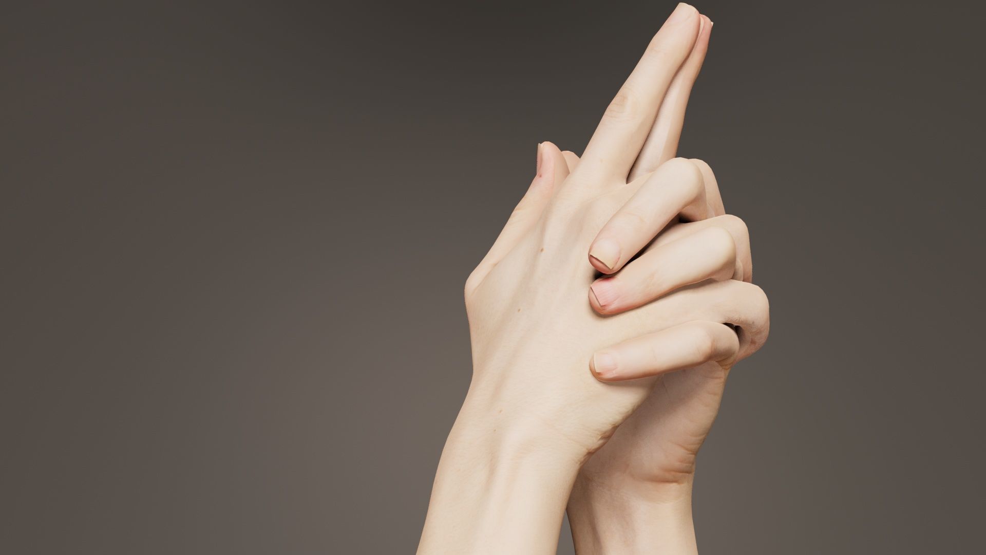 Duo Hands 003 Low-poly 3D model_1