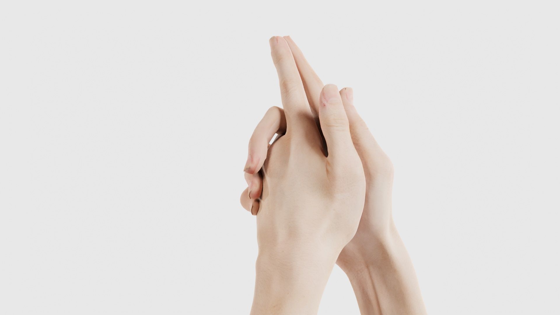 Duo Hands 003 Low-poly 3D model_25