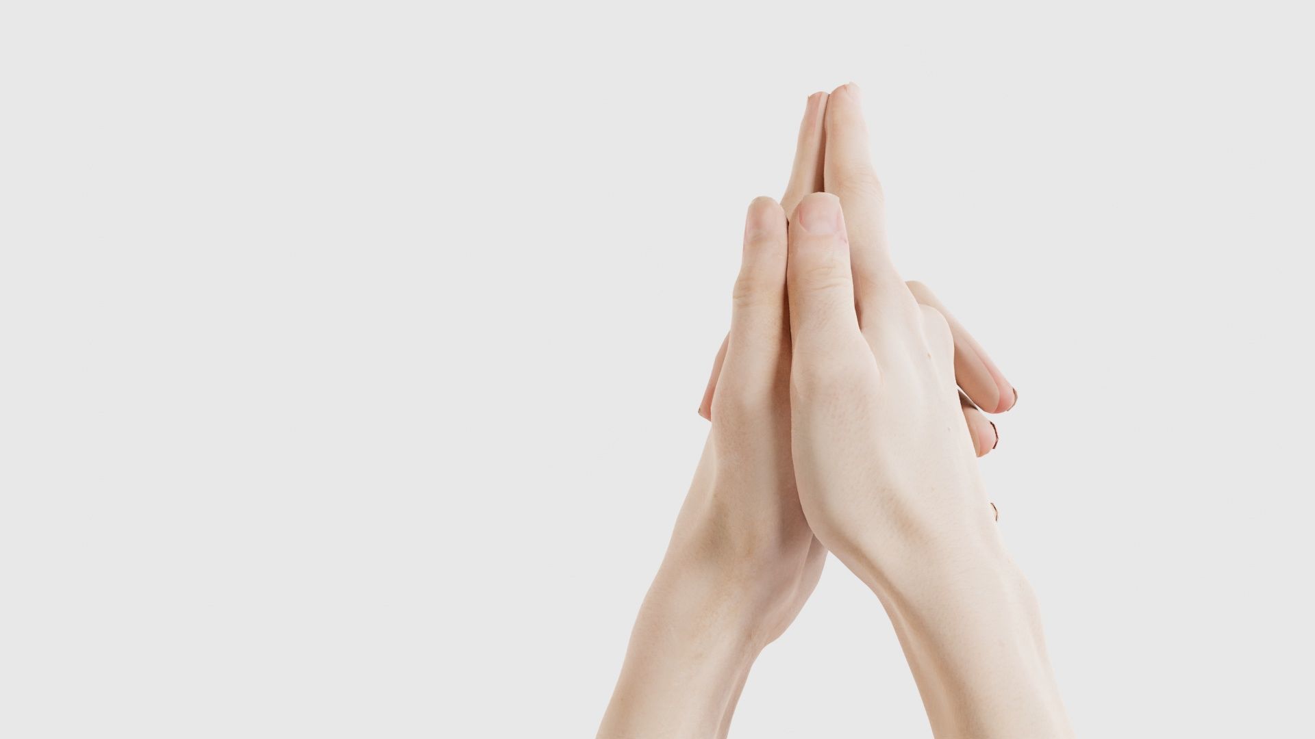 Duo Hands 003 Low-poly 3D model_23