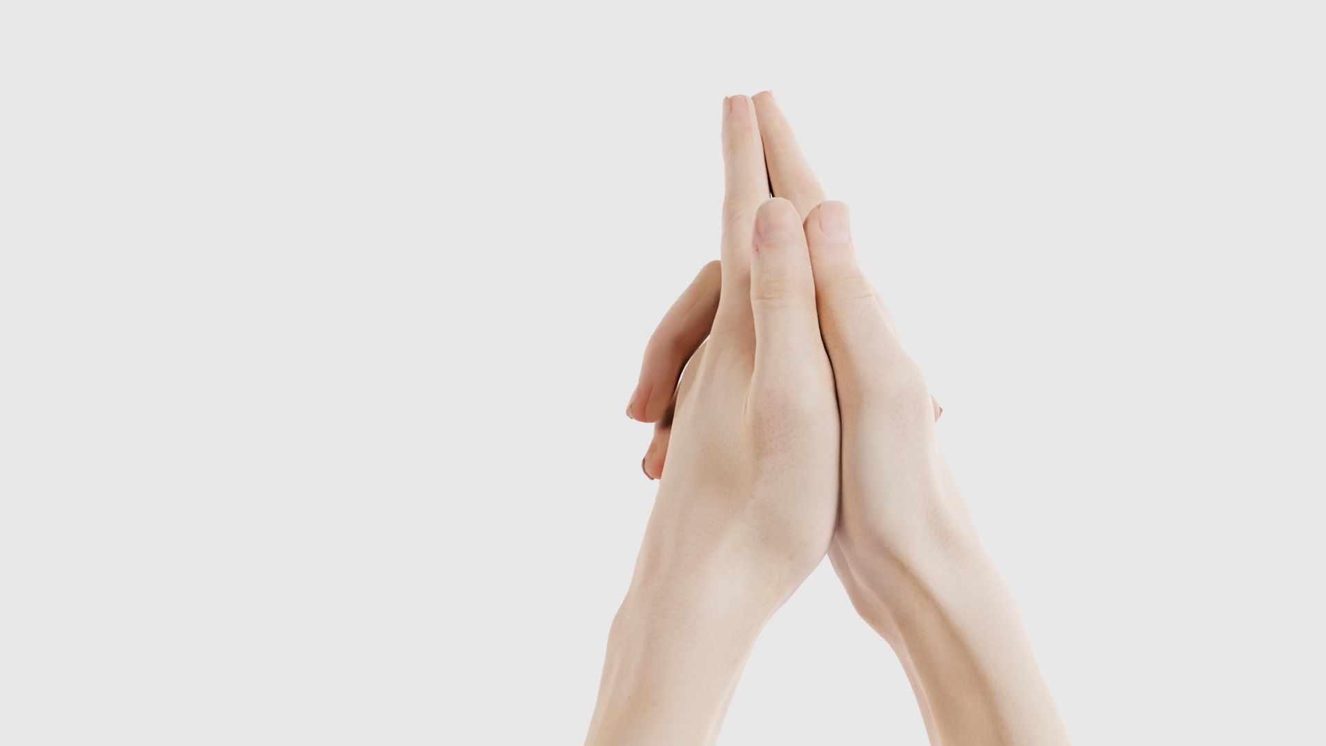 Duo Hands 003 Low-poly 3D model_24