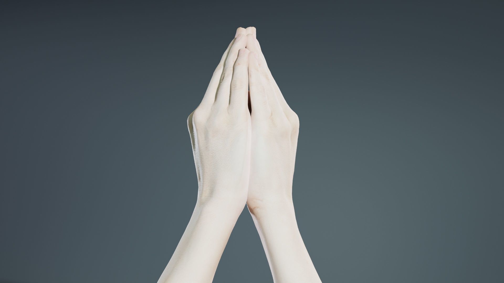 Duo Hands 005 Low-poly 3D model_2
