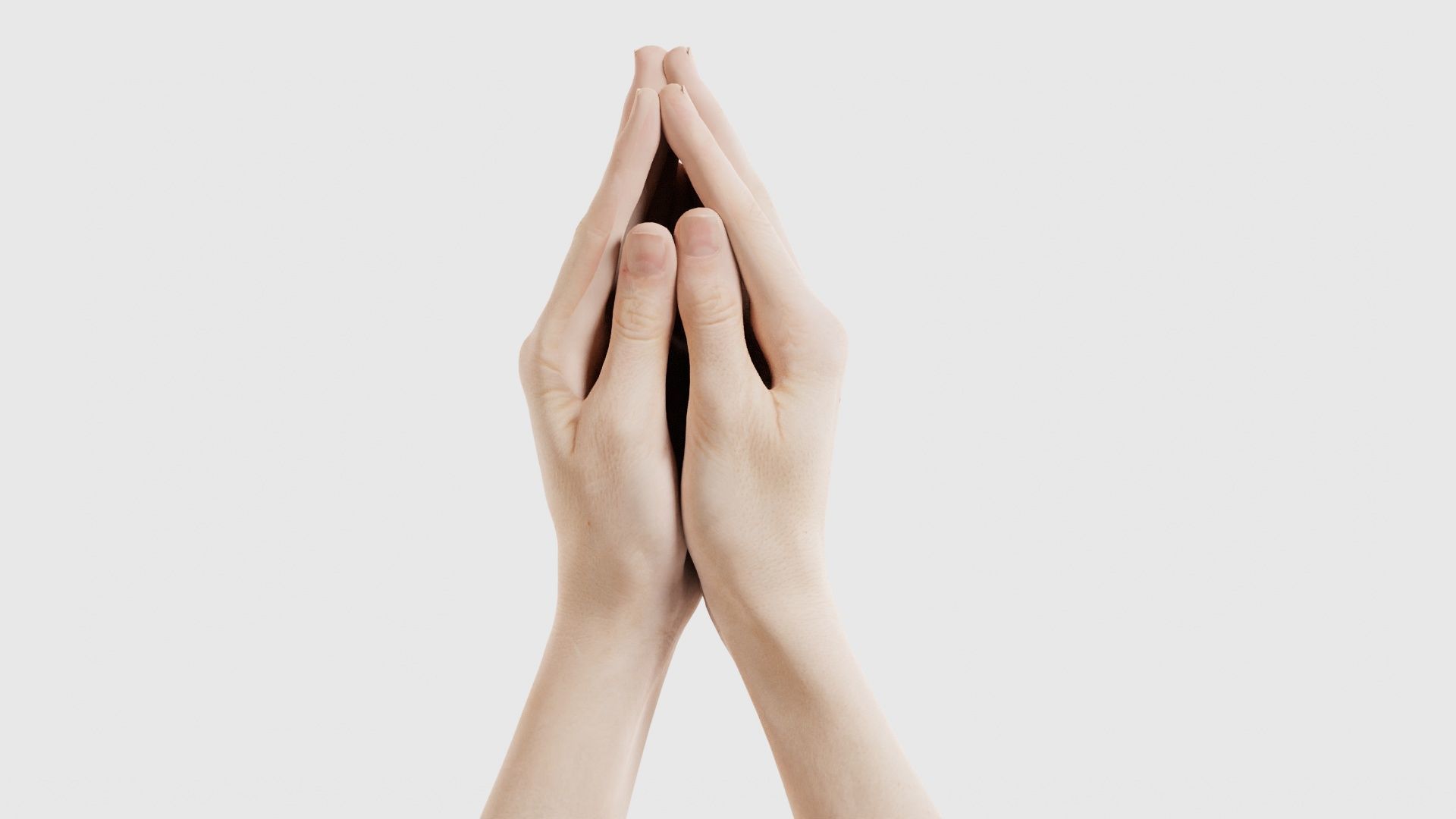 Duo Hands 005 Low-poly 3D model_25