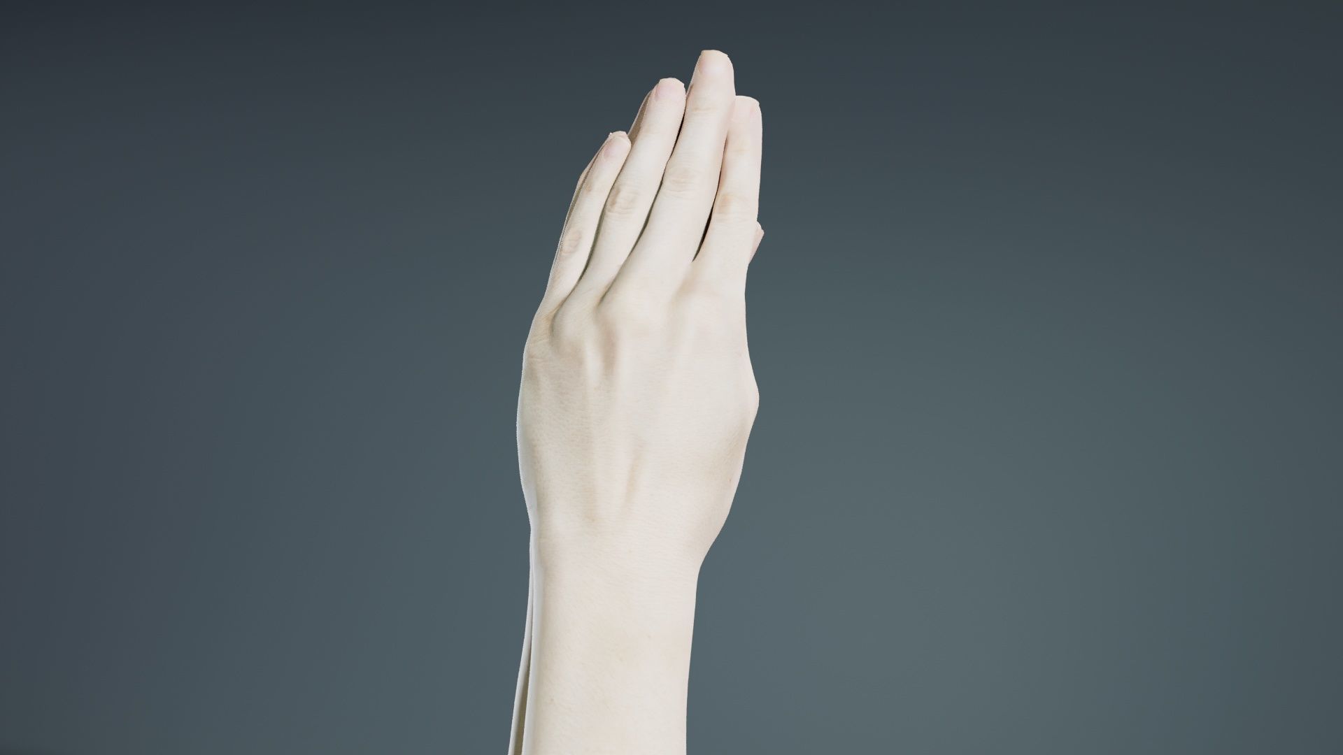 Duo Hands 005 Low-poly 3D model_6