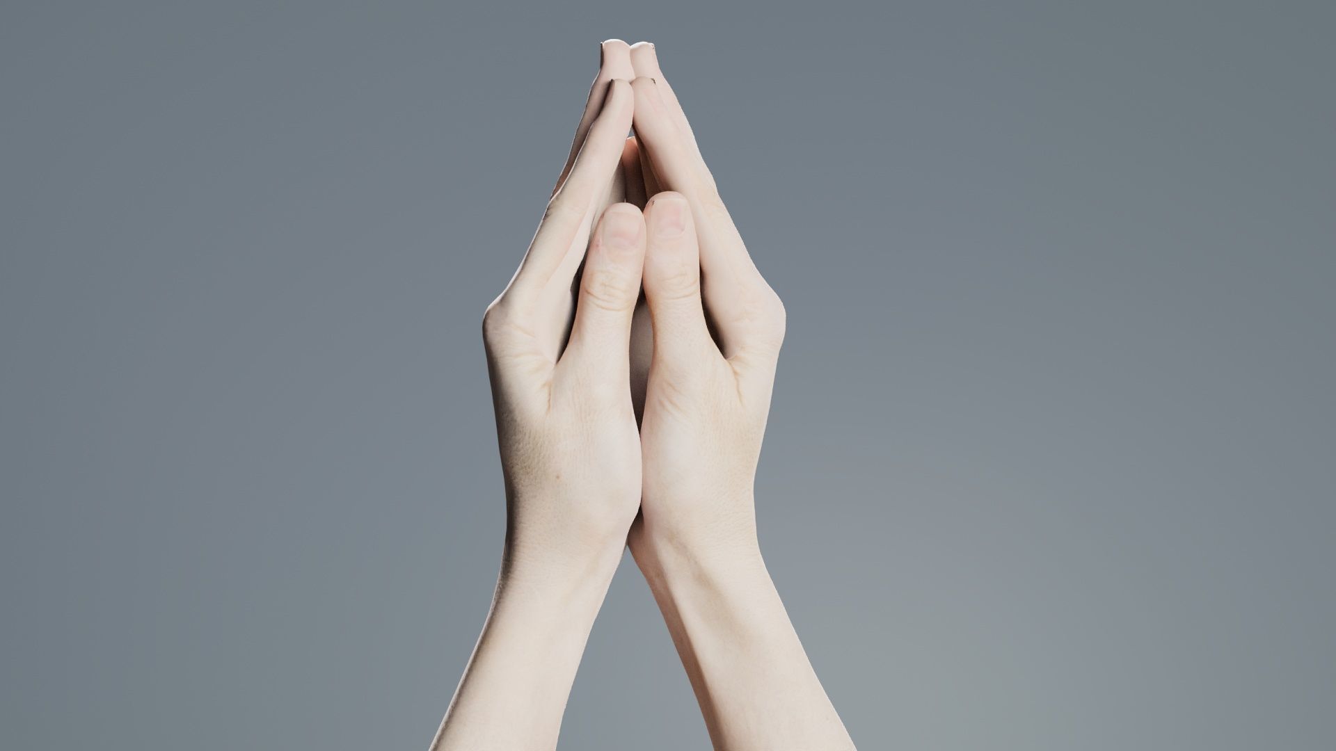 Duo Hands 005 Low-poly 3D model_7