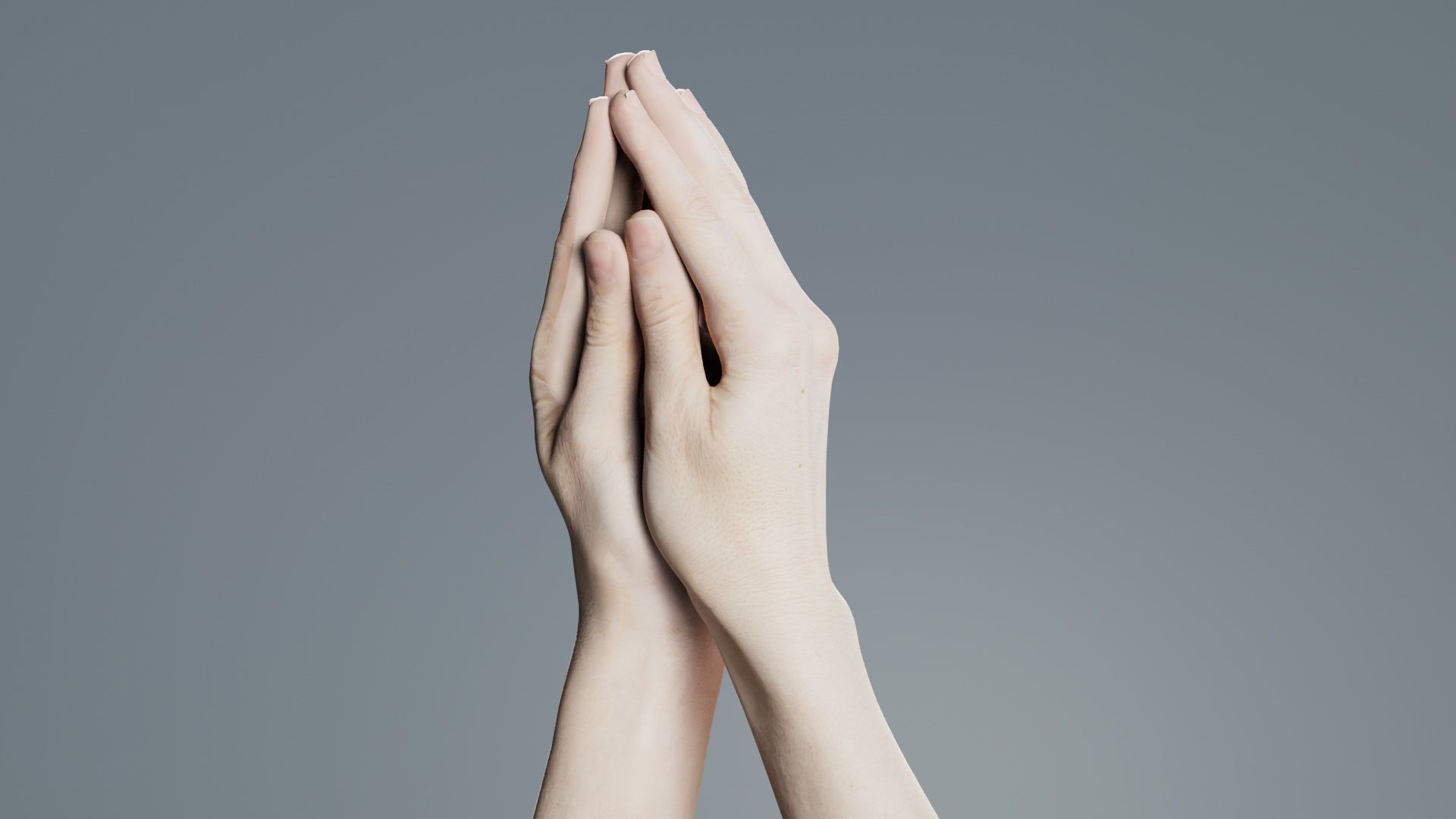 Duo Hands 005 Low-poly 3D model_3