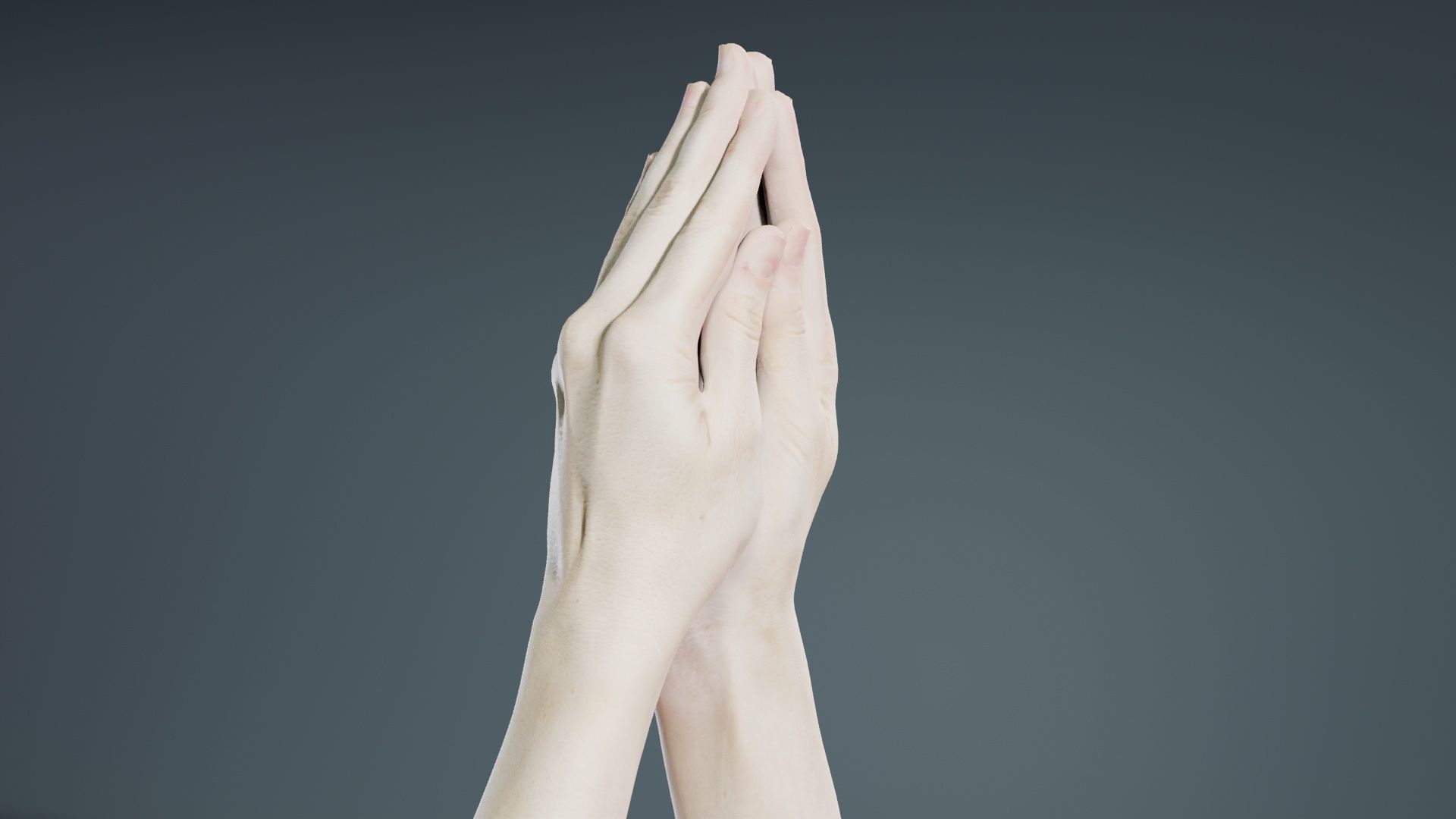 Duo Hands 005 Low-poly 3D model_1