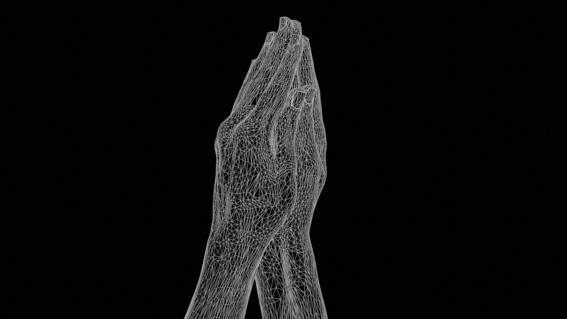 Duo Hands 005 Low-poly 3D model_11