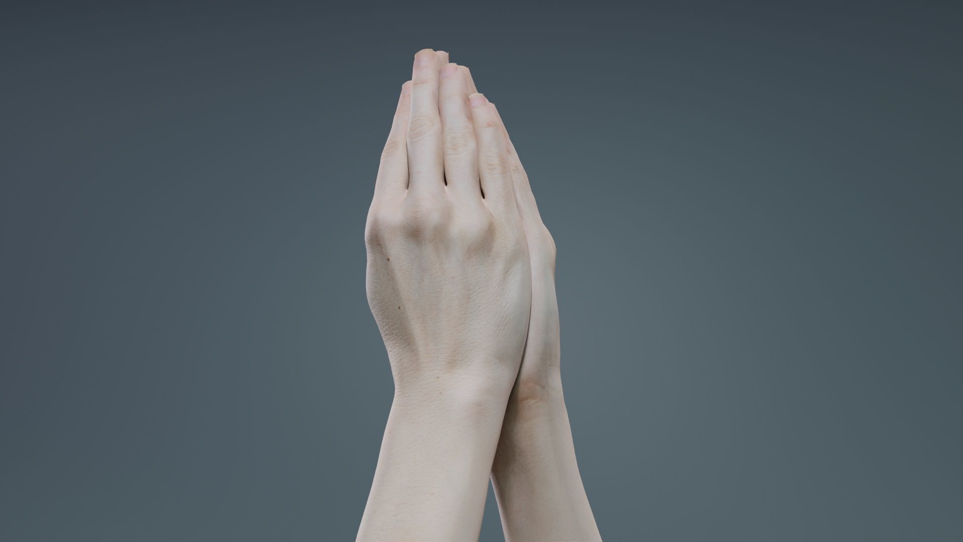 Duo Hands 005 Low-poly 3D model_5
