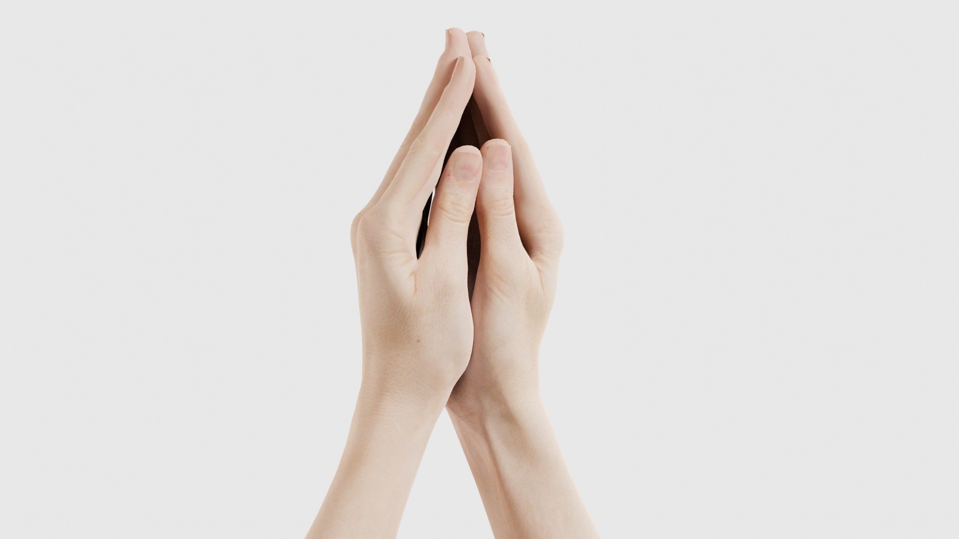 Duo Hands 005 Low-poly 3D model_26