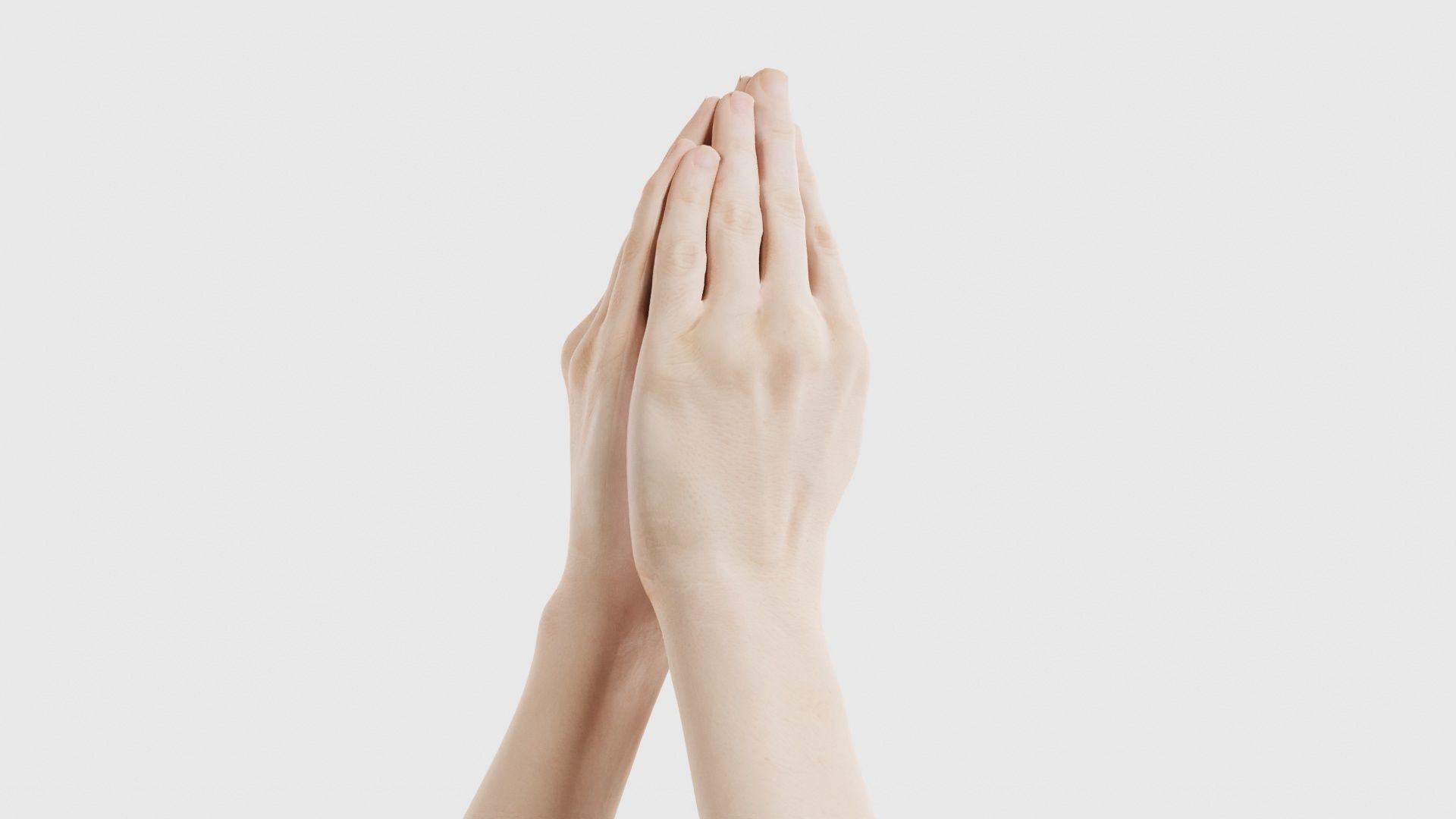 Duo Hands 005 Low-poly 3D model_18