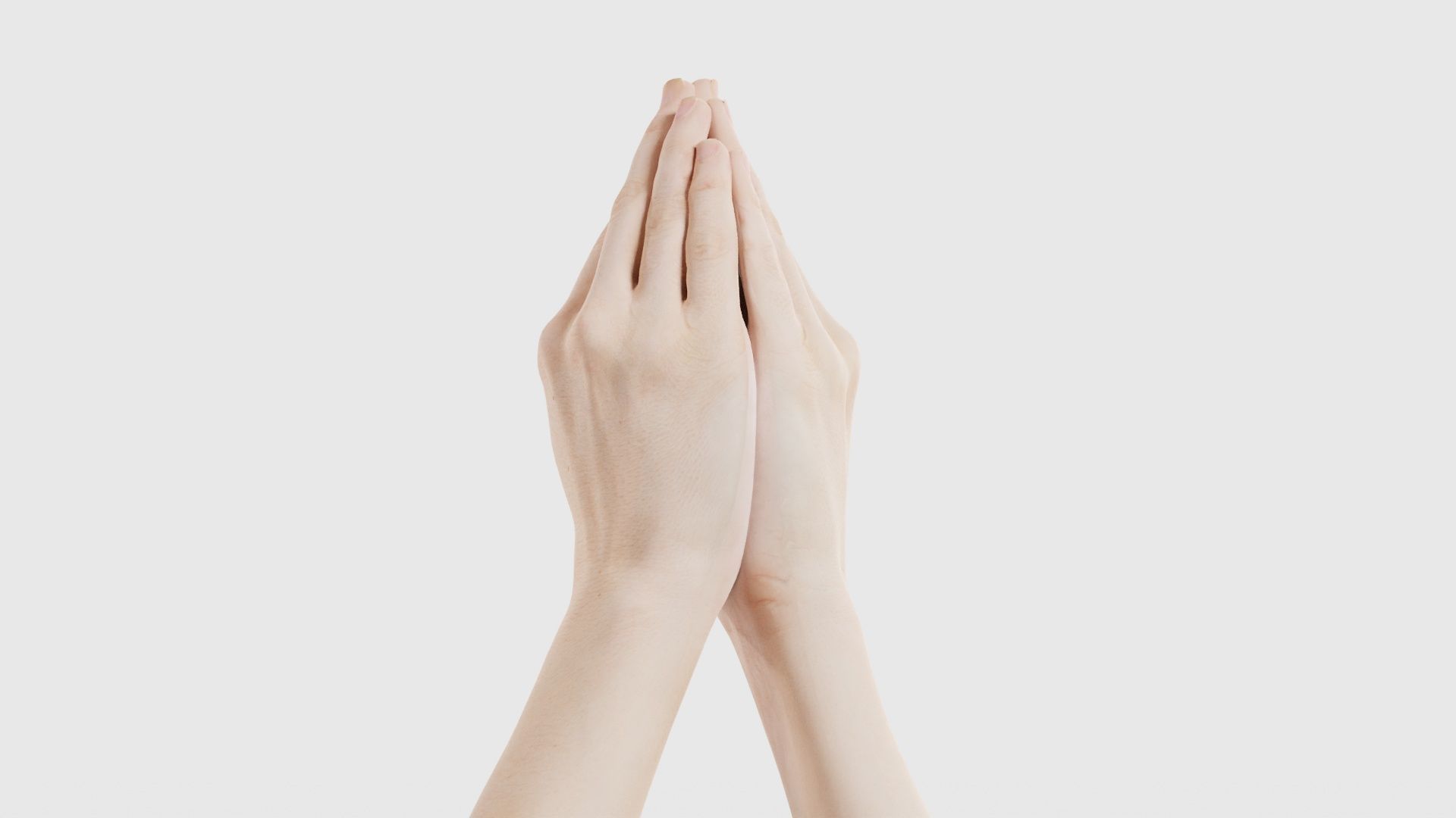 Duo Hands 005 Low-poly 3D model_20