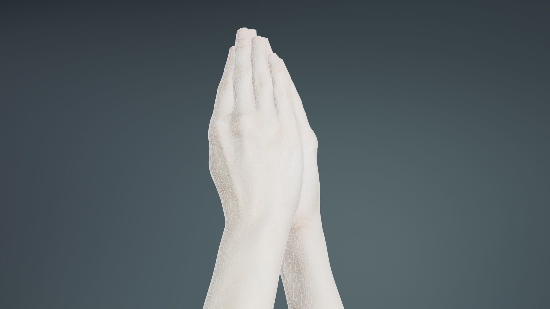 Duo Hands 005 Low-poly 3D model_10