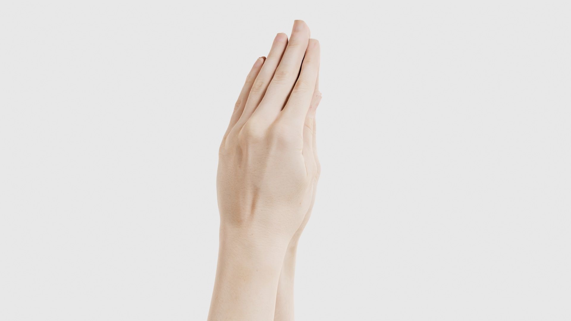 Duo Hands 005 Low-poly 3D model_16