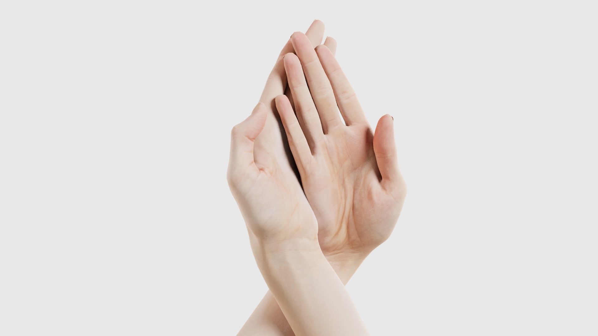 Duo Hands 008 Low-poly 3D model_16