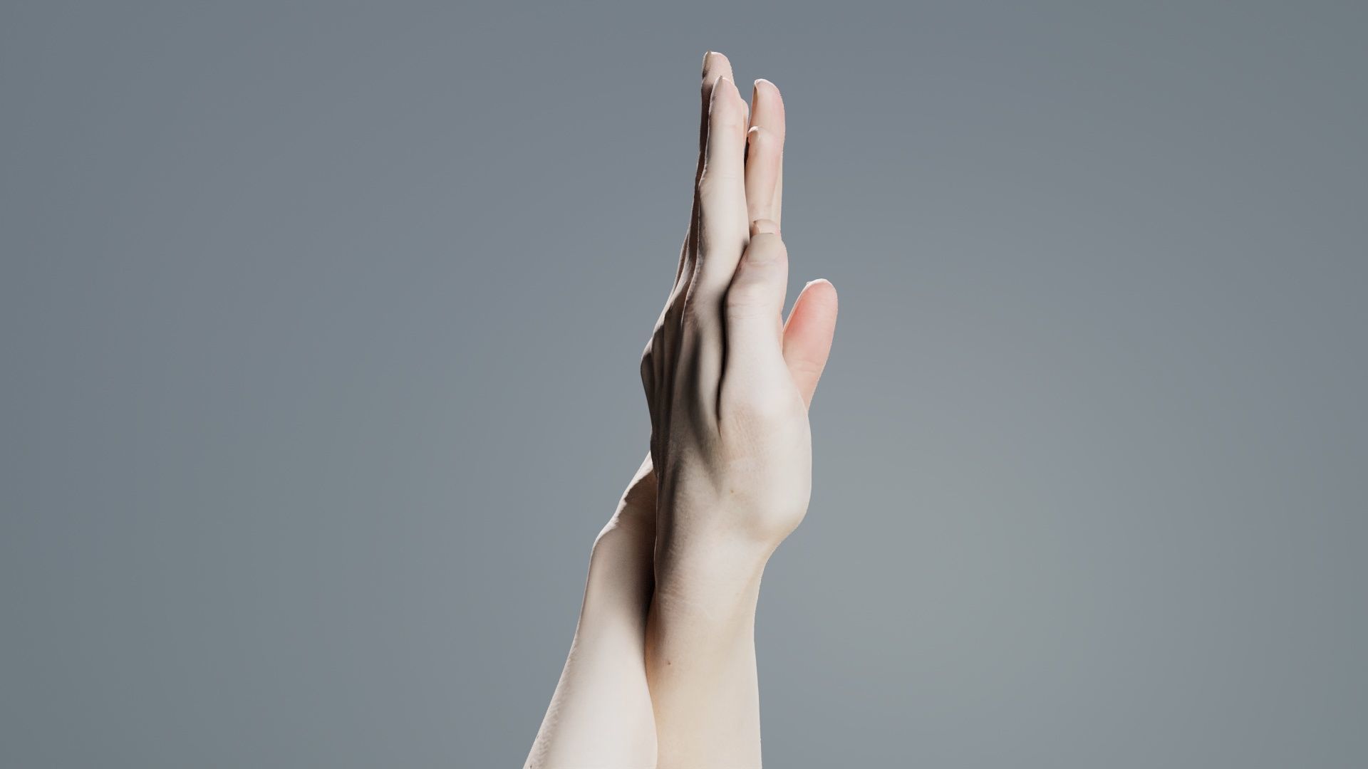 Duo Hands 008 Low-poly 3D model_4