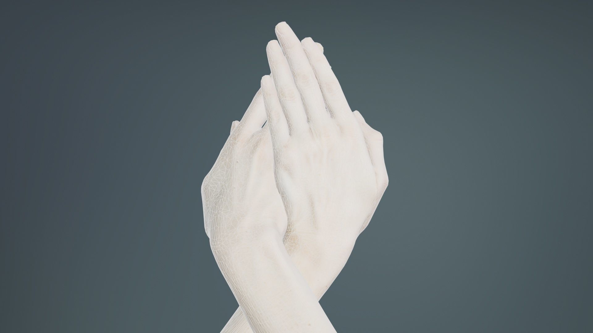 Duo Hands 008 Low-poly 3D model_10