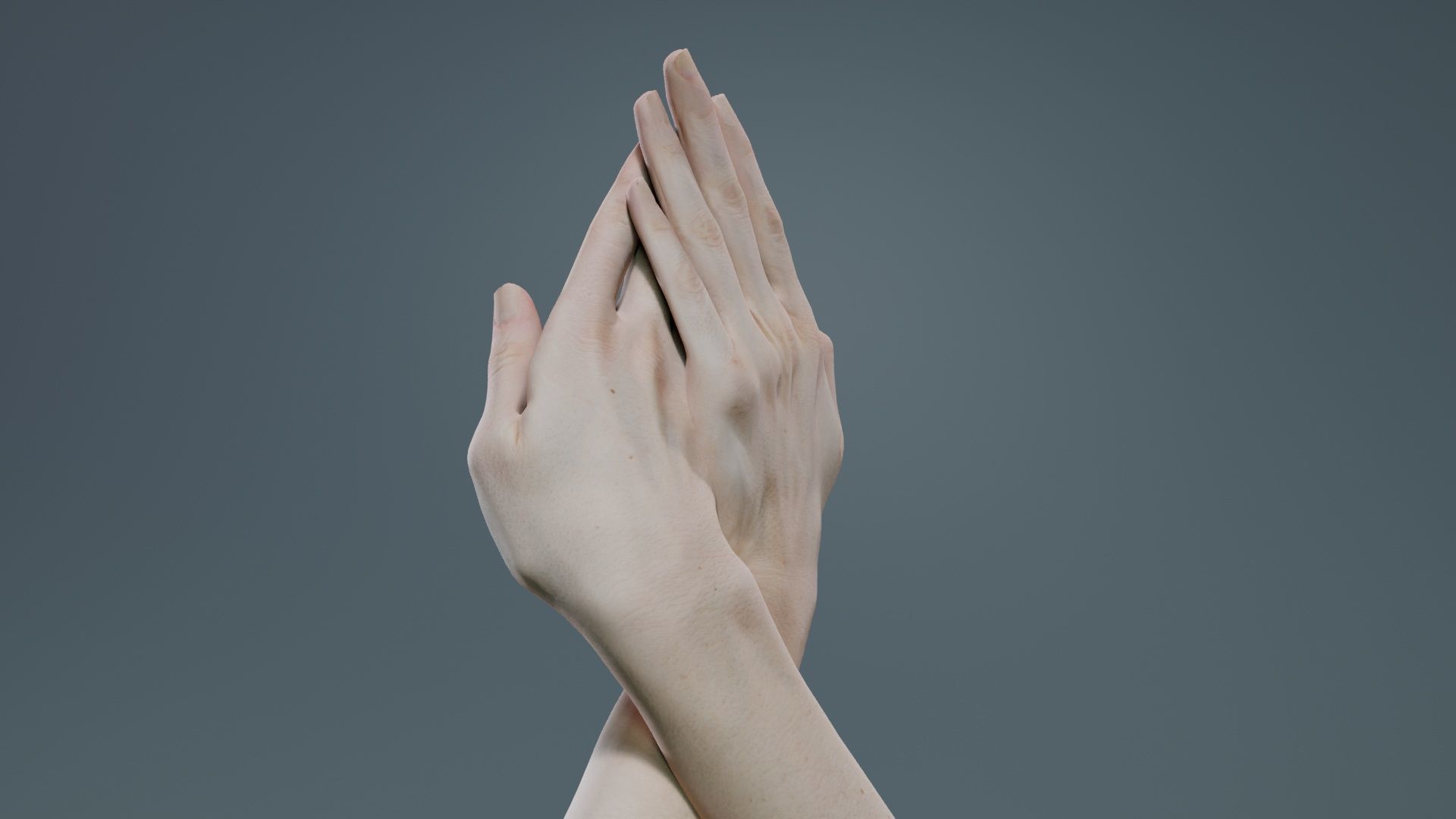 Duo Hands 008 Low-poly 3D model_5