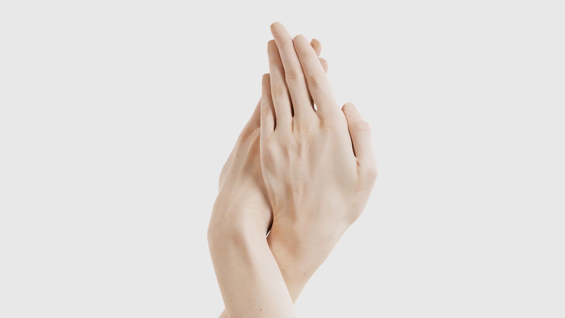 Duo Hands 008 Low-poly 3D model_20