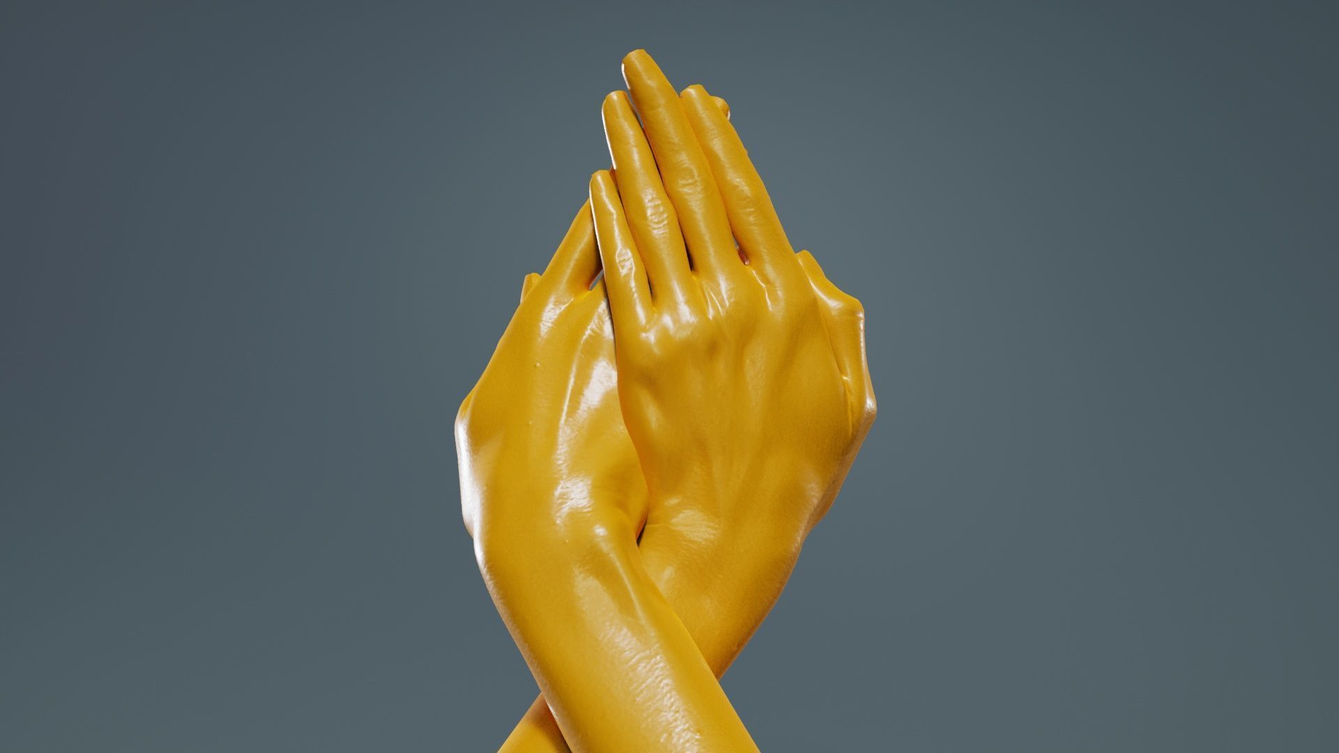 Duo Hands 008 Low-poly 3D model_13