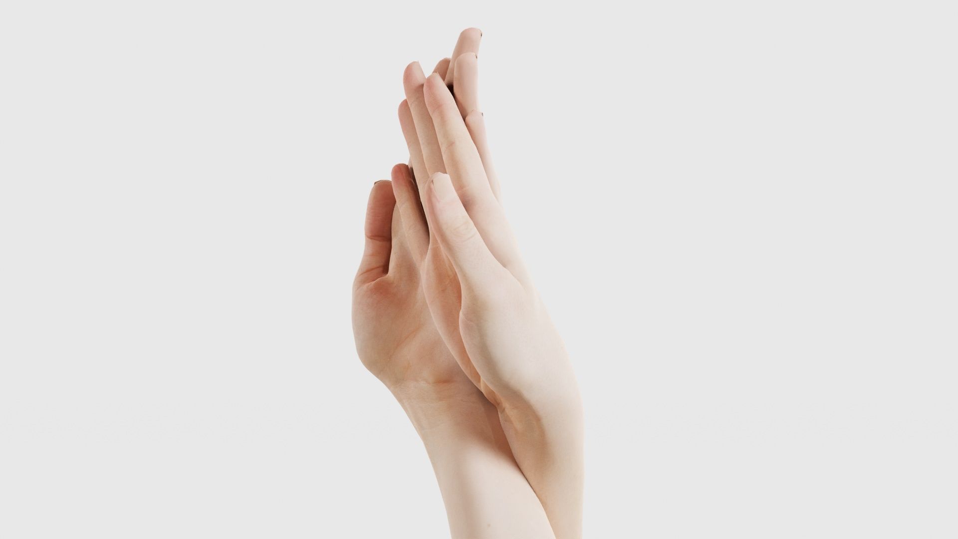 Duo Hands 008 Low-poly 3D model_25