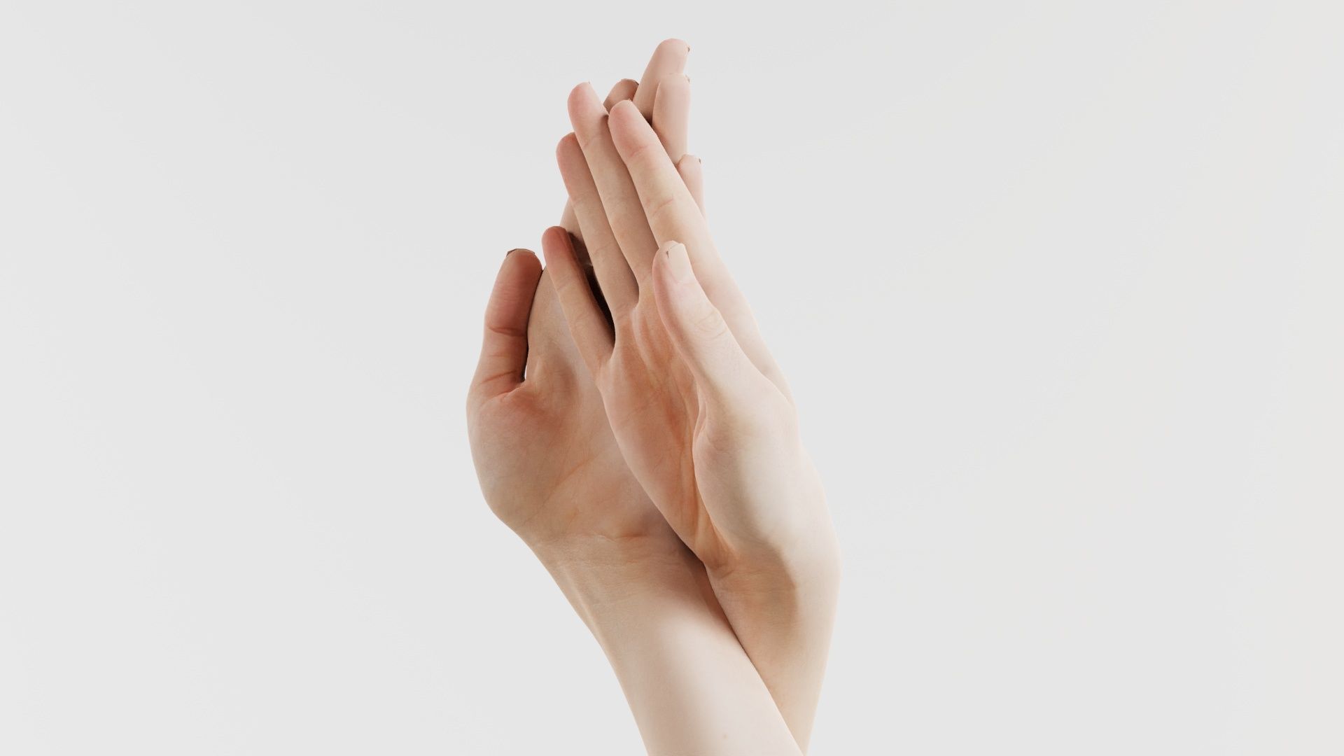 Duo Hands 008 Low-poly 3D model_7