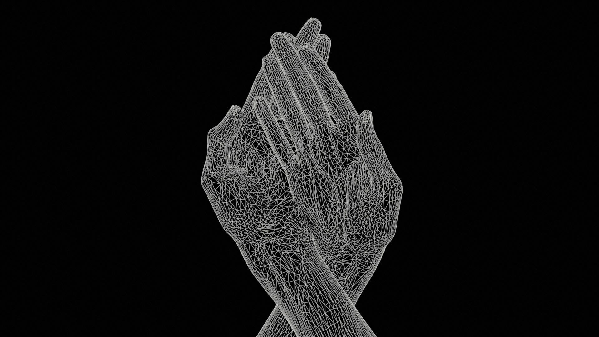 Duo Hands 008 Low-poly 3D model_11