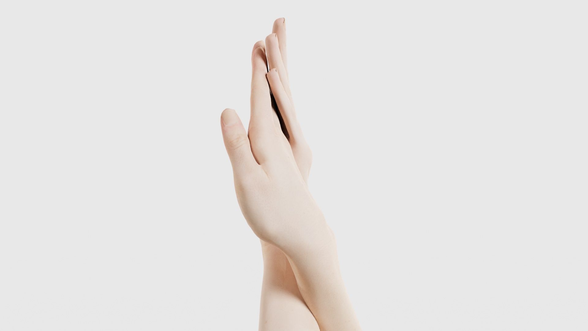 Duo Hands 008 Low-poly 3D model_24