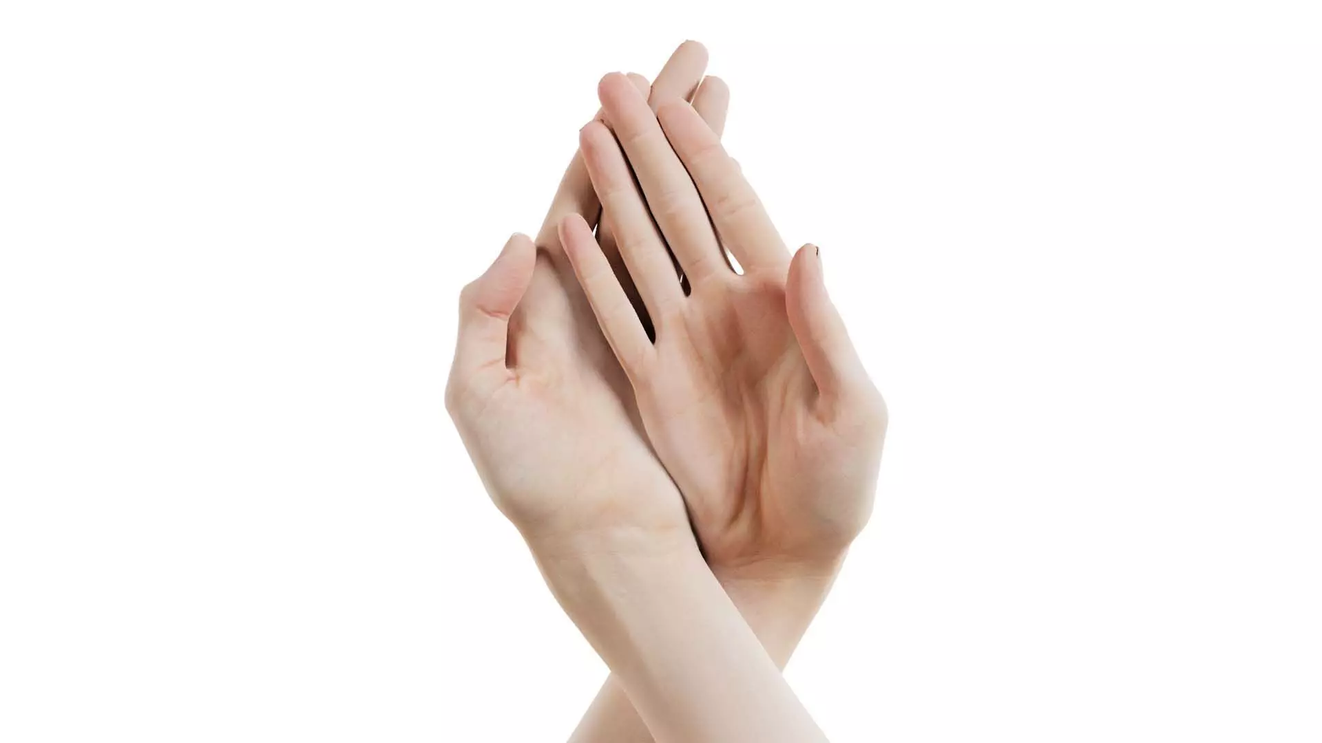 Duo Hands 008 Low-poly 3D model_0