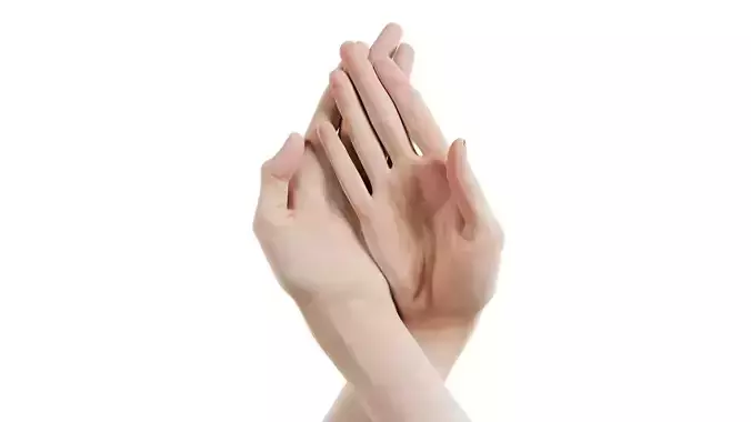 Duo Hands 008 Low-poly 3D model