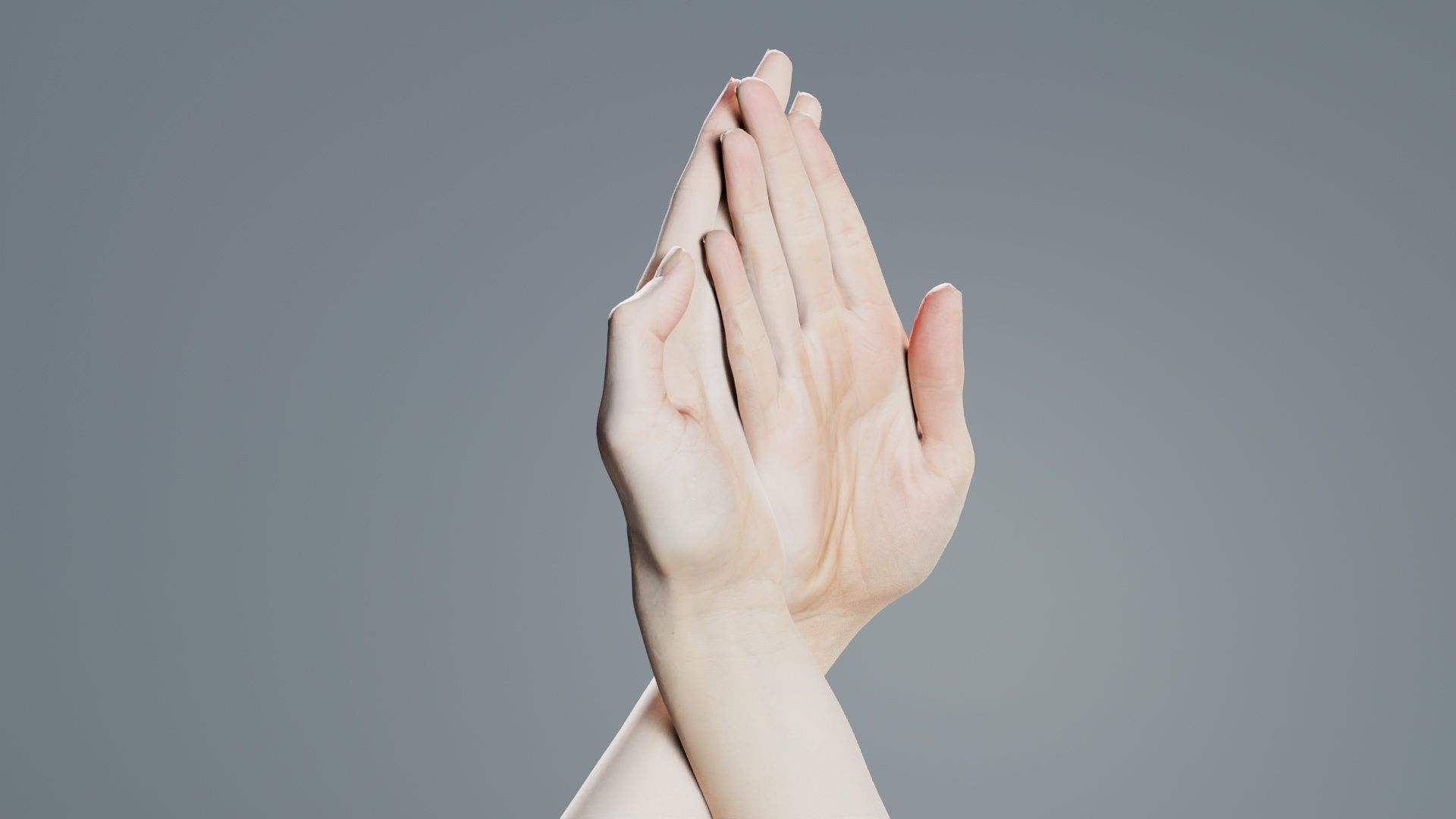 Duo Hands 008 Low-poly 3D model_1