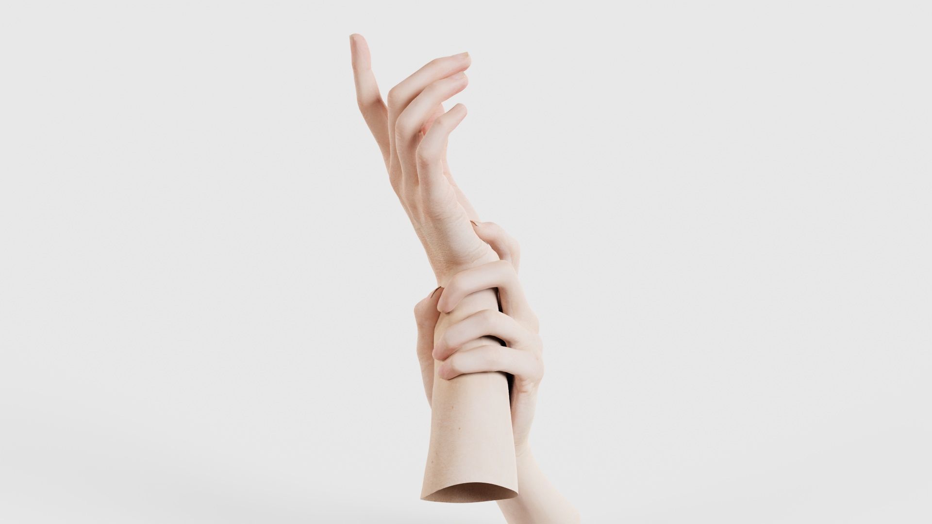 Duo Hands 010 Low-poly 3D model_18