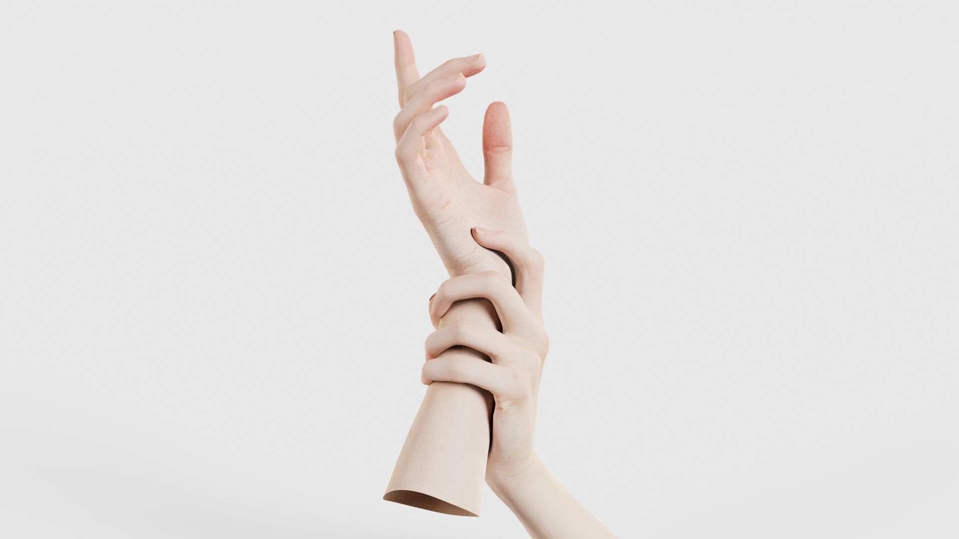 Duo Hands 010 Low-poly 3D model_17