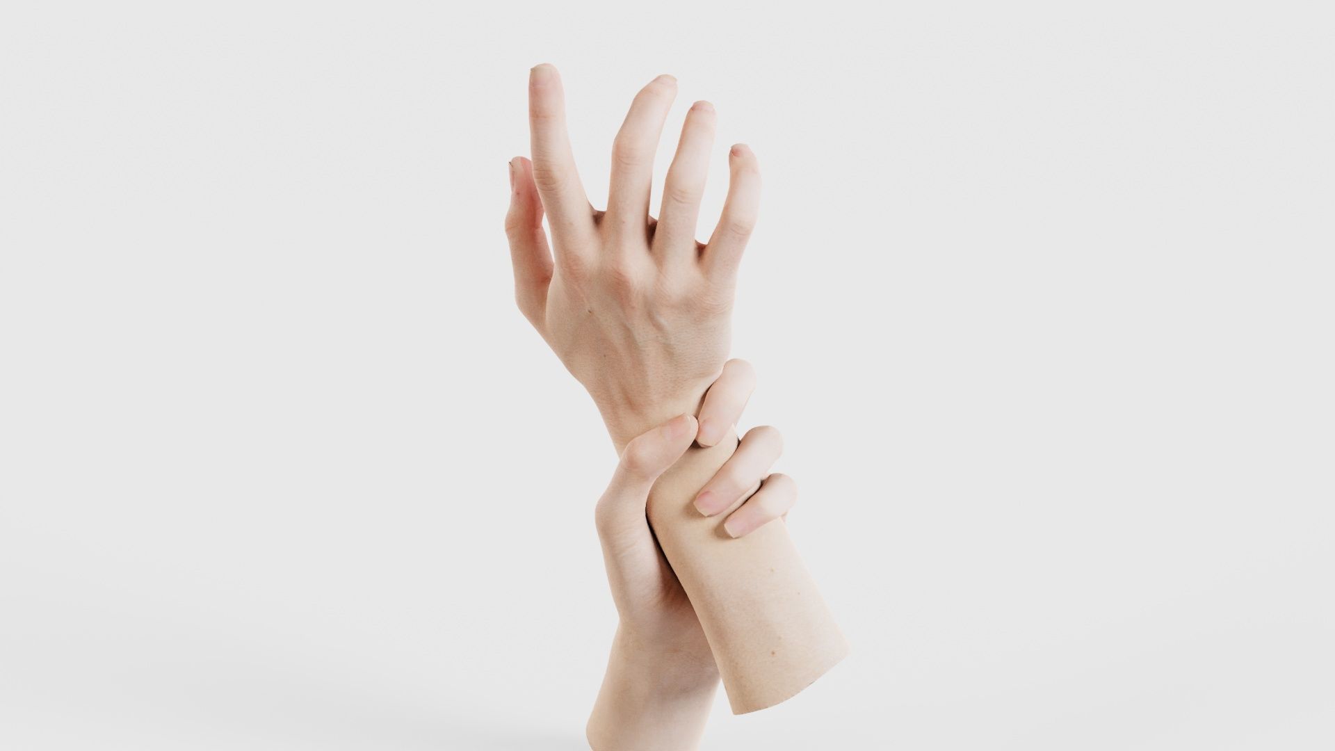 Duo Hands 010 Low-poly 3D model_20