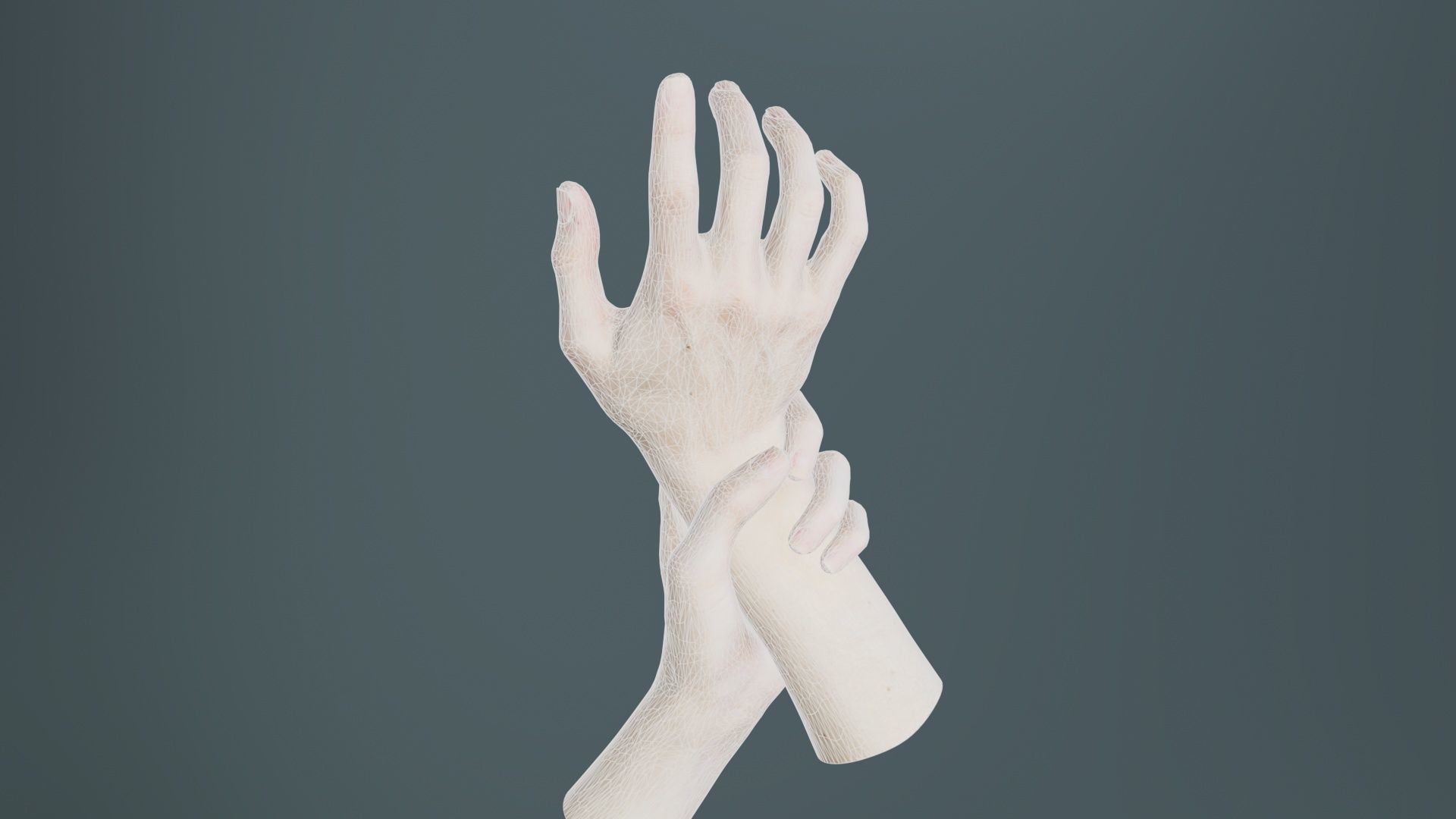 Duo Hands 010 Low-poly 3D model_10