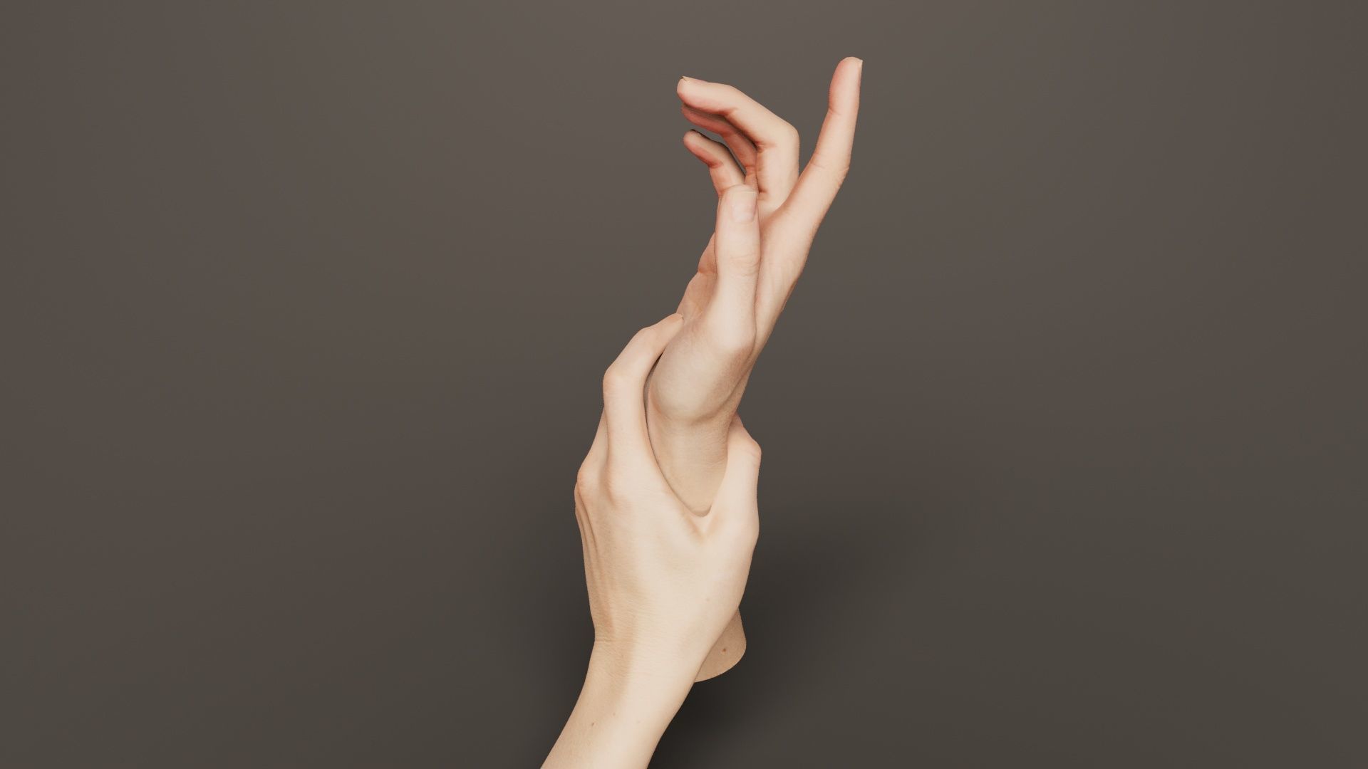 Duo Hands 010 Low-poly 3D model_1