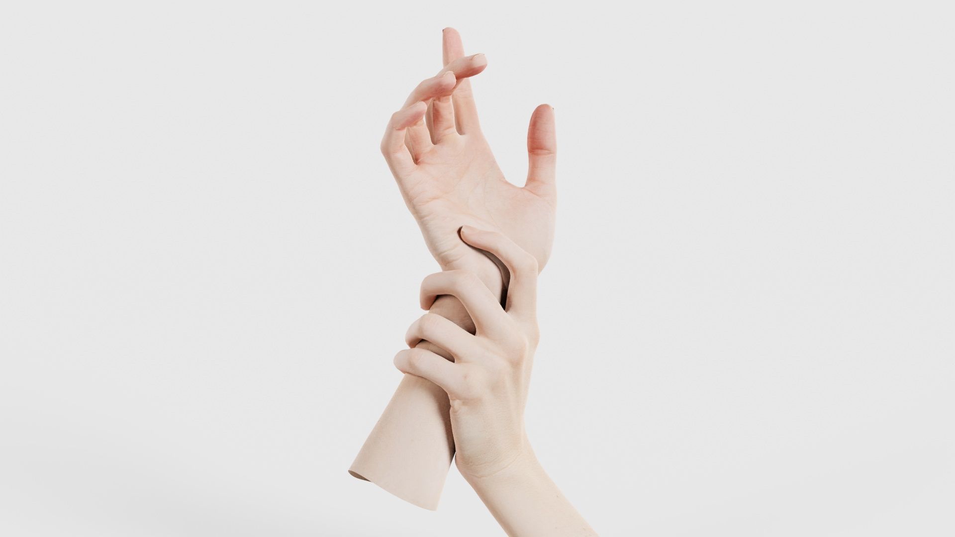 Duo Hands 010 Low-poly 3D model_16